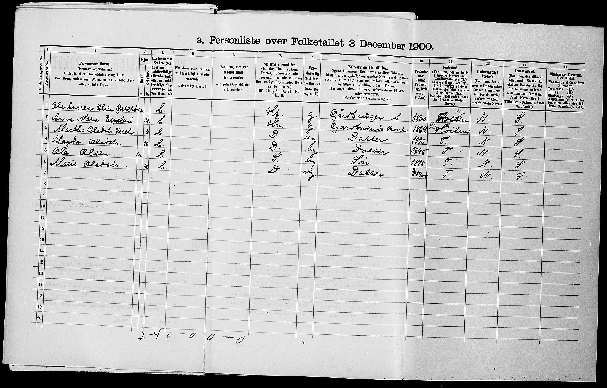 SAST, 1900 census for Hetland, 1900, p. 1206