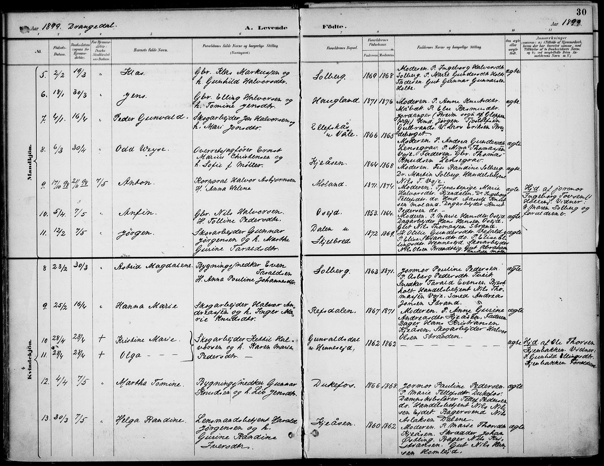 Drangedal kirkebøker, AV/SAKO-A-258/F/Fa/L0012: Parish register (official) no. 12, 1895-1905, p. 30