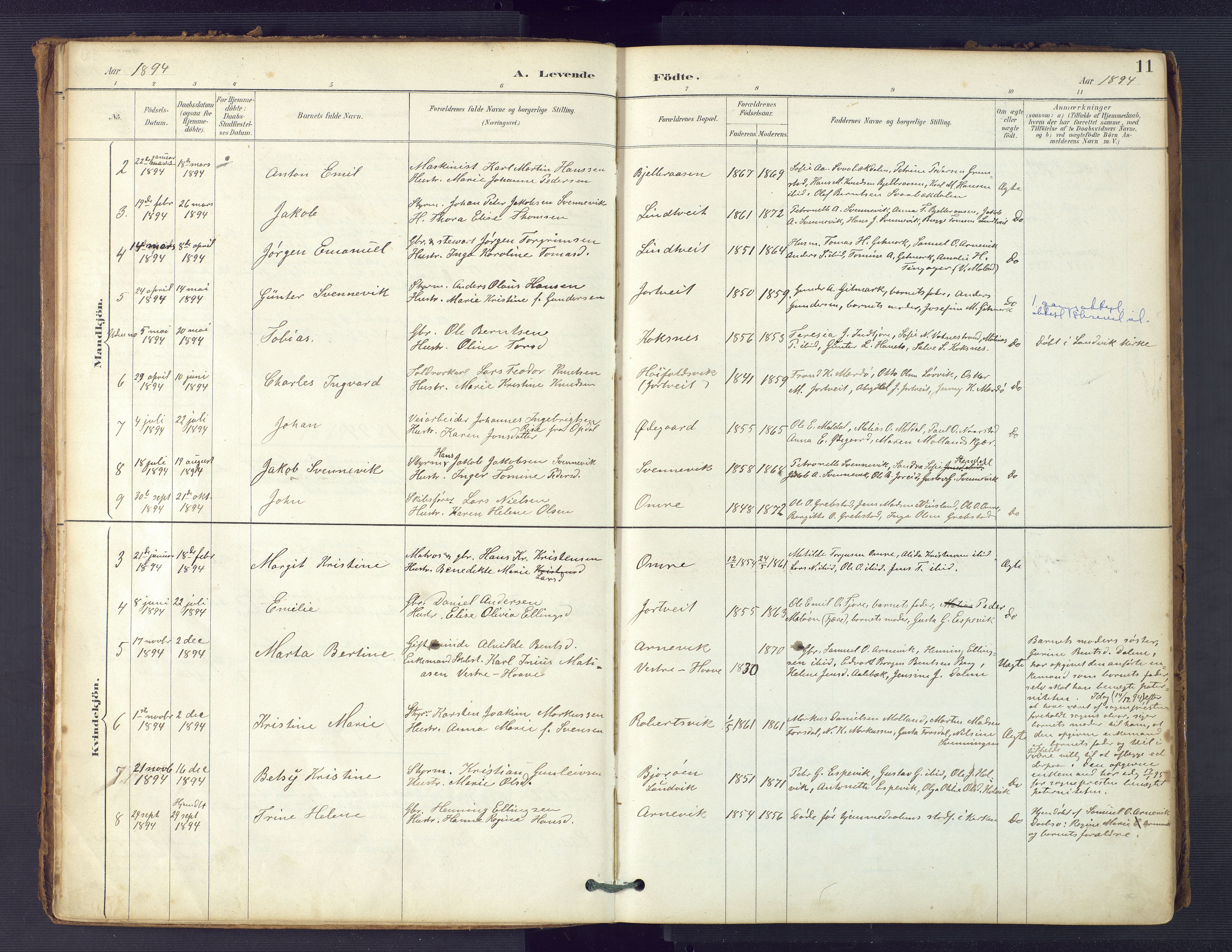 Hommedal sokneprestkontor, AV/SAK-1111-0023/F/Fa/Faa/L0003: Parish register (official) no. A 3, 1885-1916, p. 11