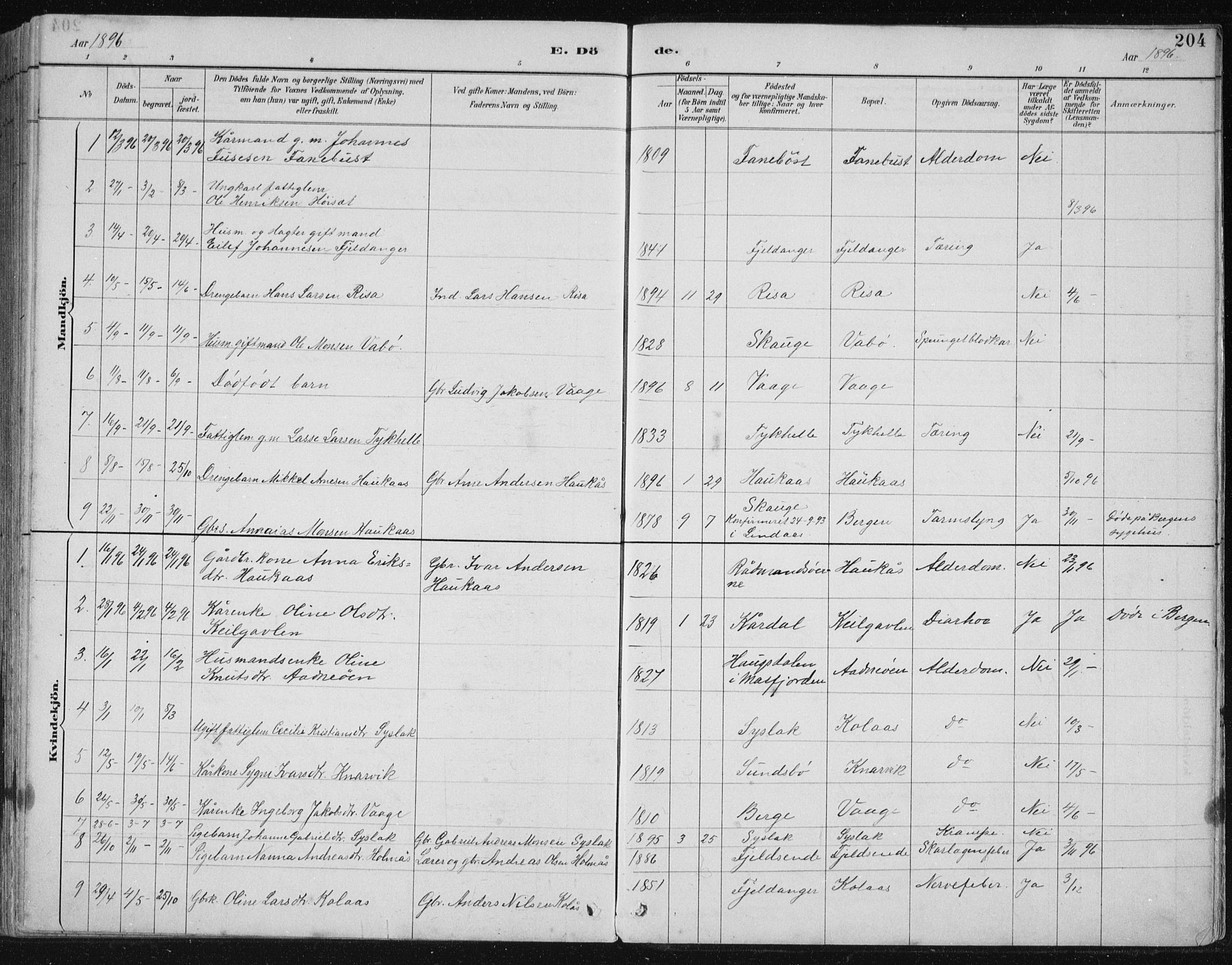 Lindås Sokneprestembete, AV/SAB-A-76701/H/Hab/Habb/L0003: Parish register (copy) no. B 3, 1886-1914, p. 204