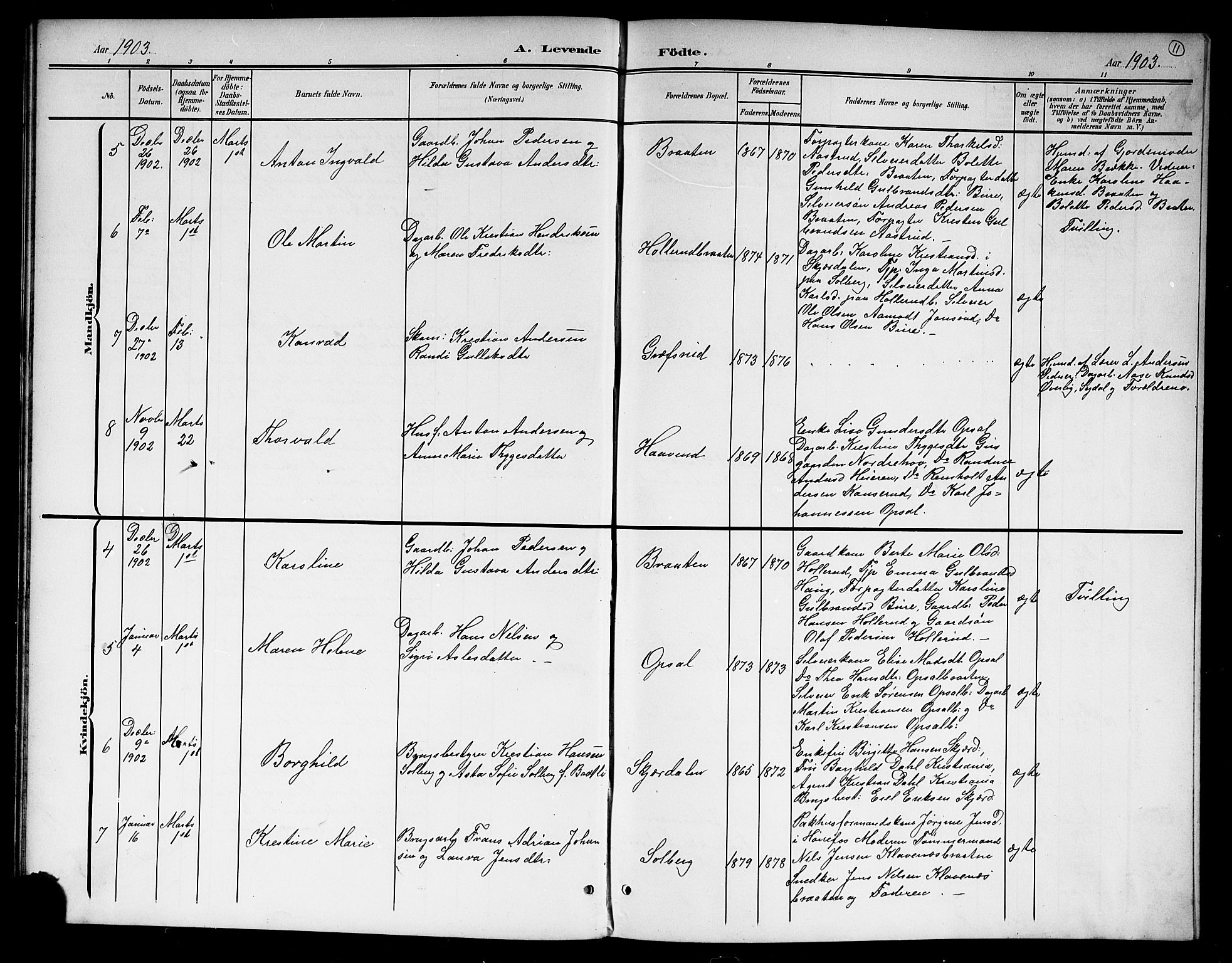Hole kirkebøker, SAKO/A-228/G/Gb/L0004: Parish register (copy) no. II 4, 1901-1916, p. 11