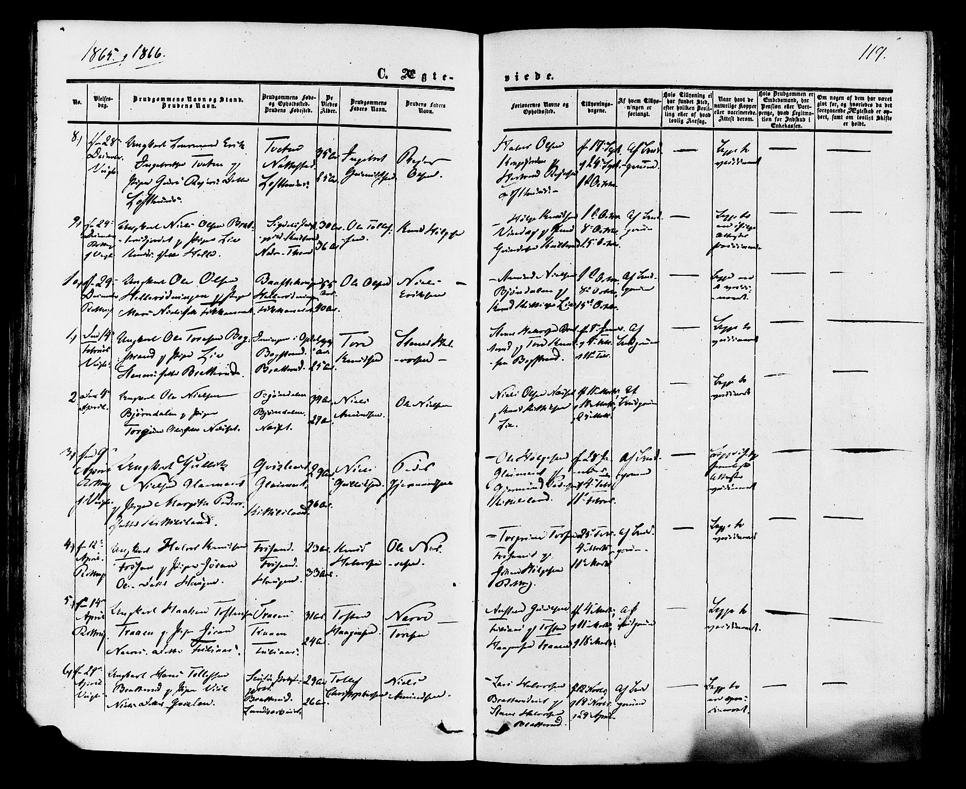 Rollag kirkebøker, AV/SAKO-A-240/F/Fa/L0009: Parish register (official) no. I 9, 1860-1874, p. 119