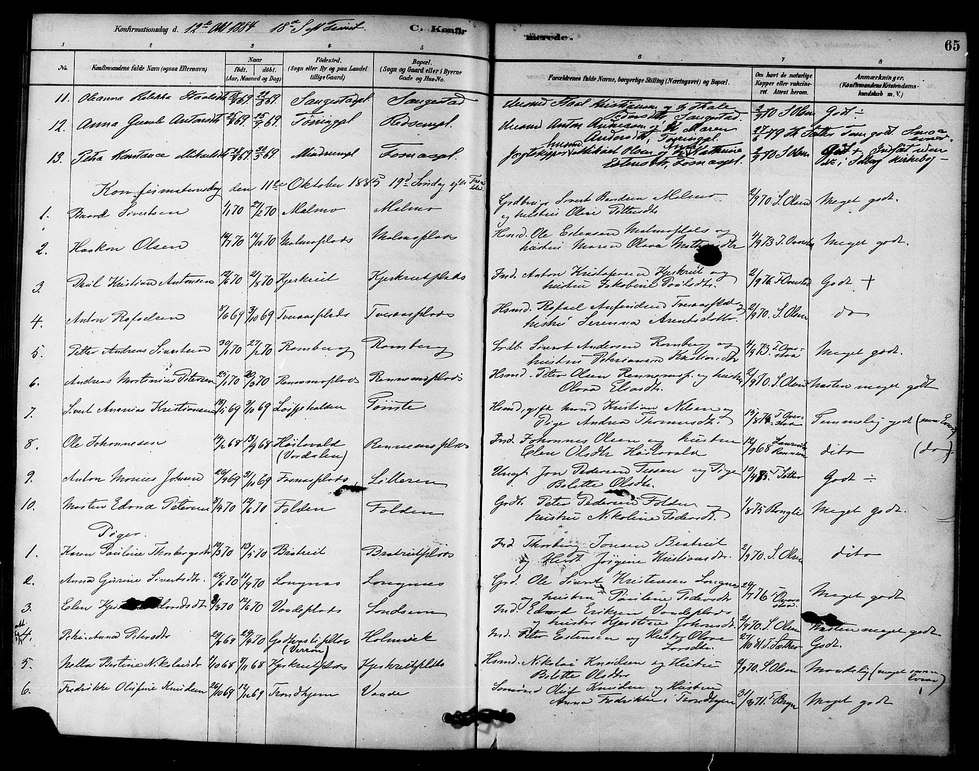 Ministerialprotokoller, klokkerbøker og fødselsregistre - Nord-Trøndelag, SAT/A-1458/745/L0429: Parish register (official) no. 745A01, 1878-1894, p. 65