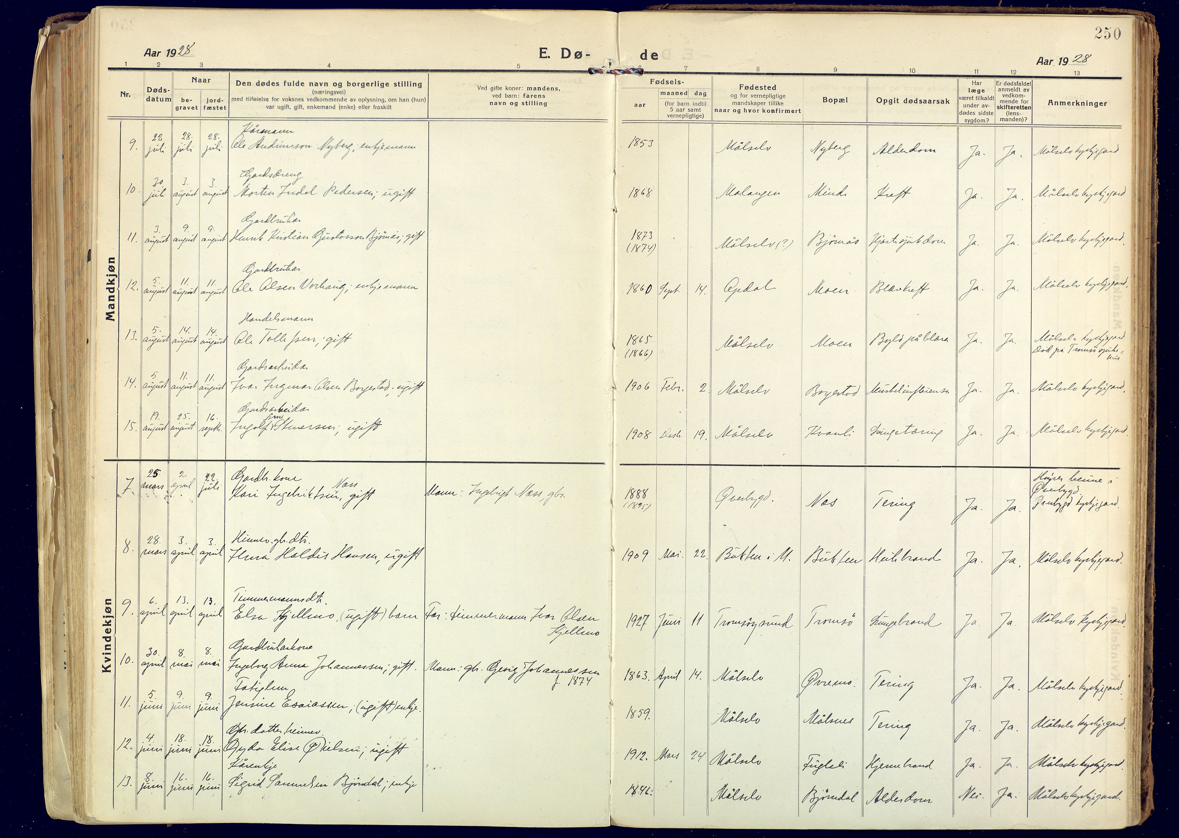 Målselv sokneprestembete, SATØ/S-1311/G/Ga/Gaa/L0014kirke: Parish register (official) no. 14, 1919-1932, p. 250