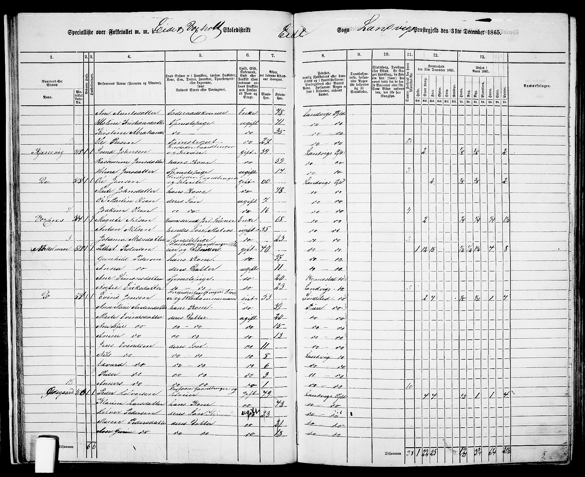 RA, 1865 census for Homedal, 1865, p. 30