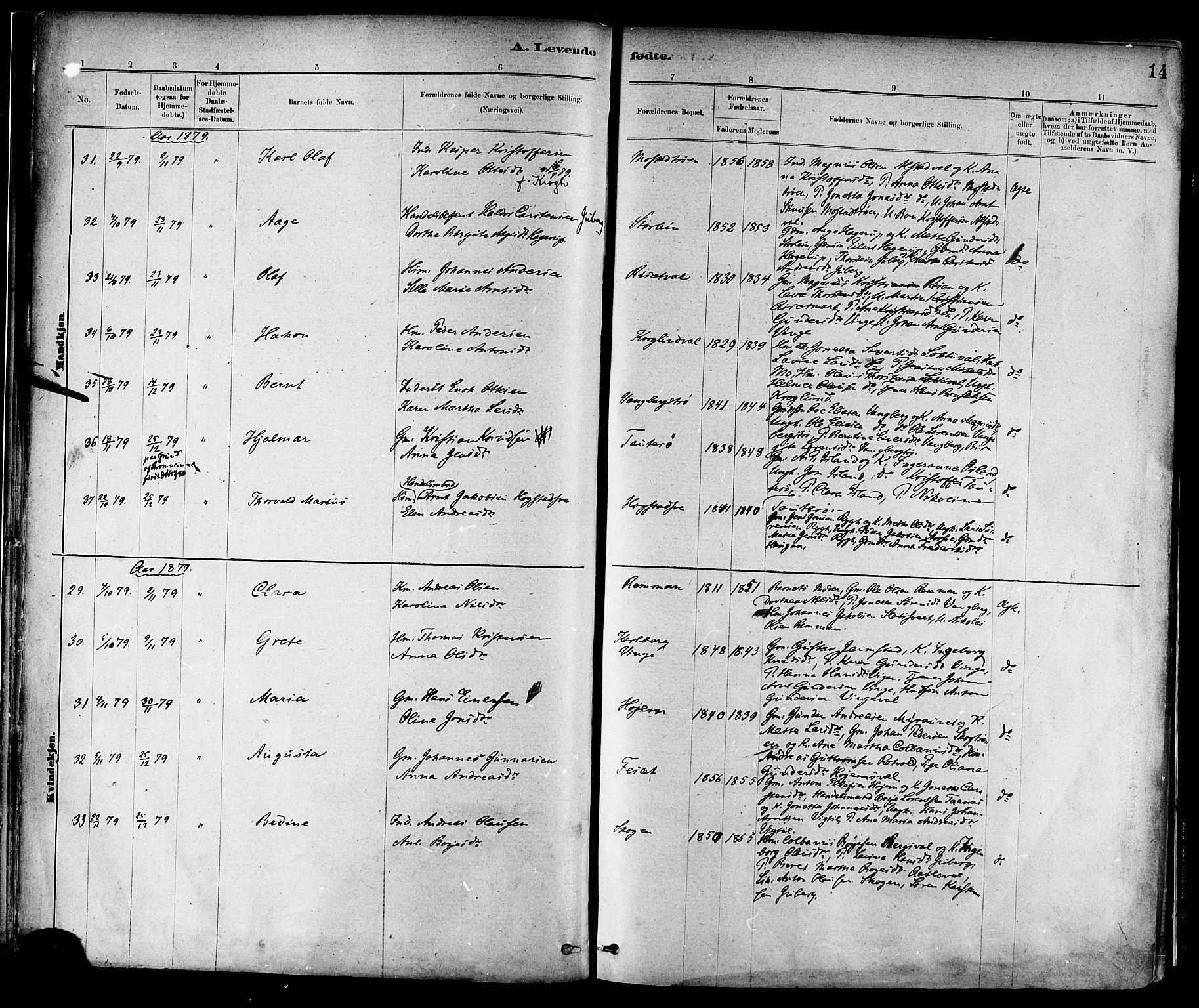 Ministerialprotokoller, klokkerbøker og fødselsregistre - Nord-Trøndelag, SAT/A-1458/713/L0120: Parish register (official) no. 713A09, 1878-1887, p. 14