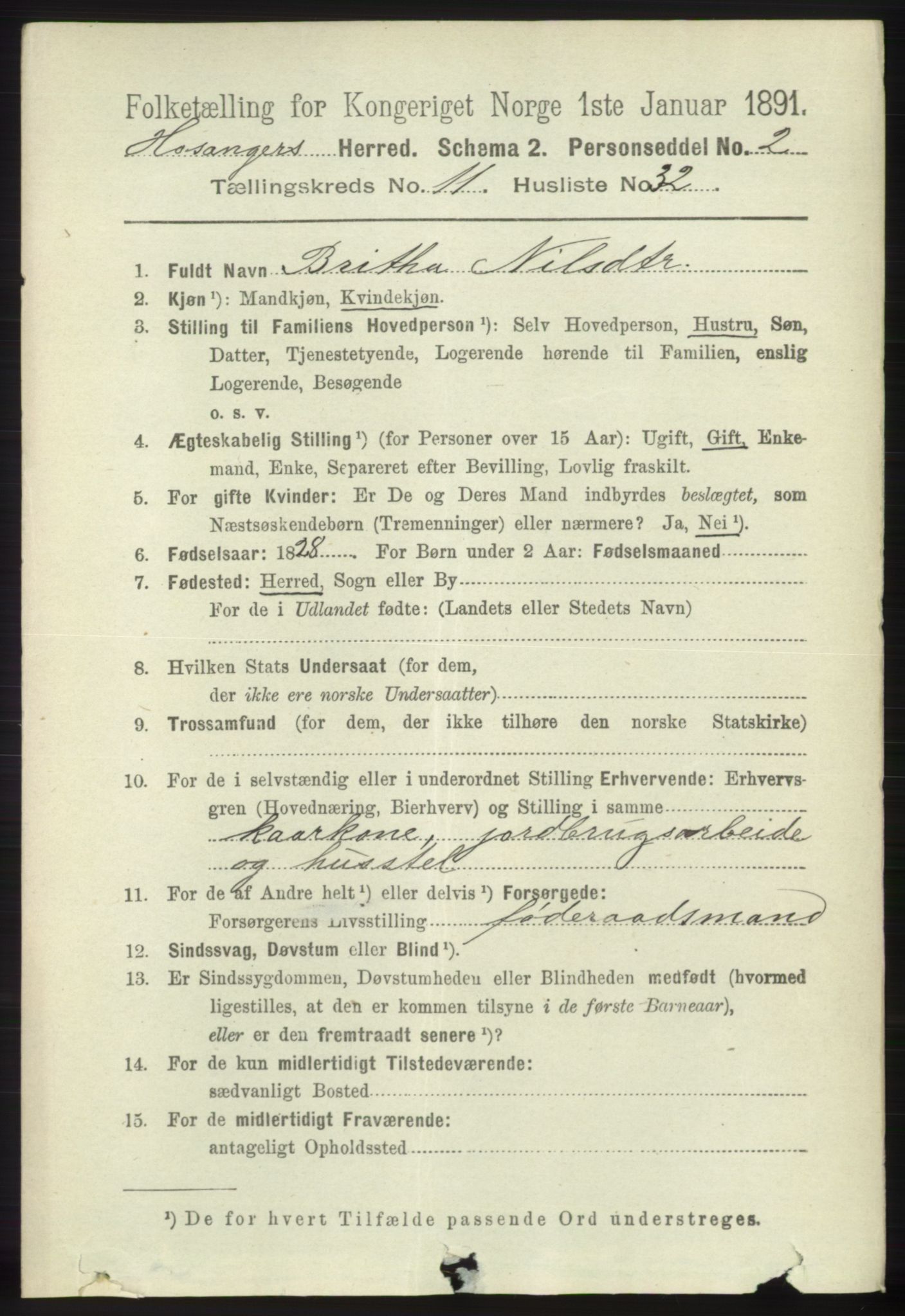 RA, 1891 census for 1253 Hosanger, 1891, p. 3959