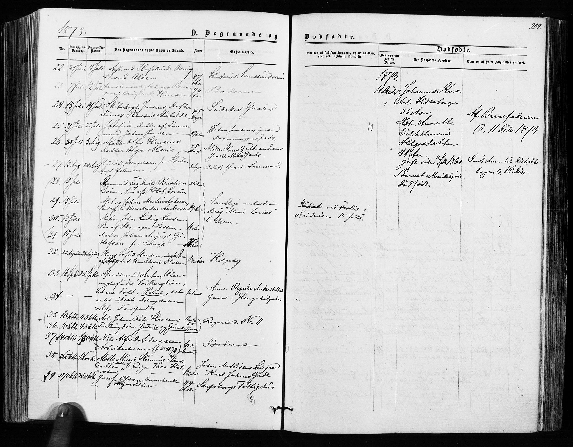 Sarpsborg prestekontor Kirkebøker, SAO/A-2006/F/Fa/L0002: Parish register (official) no. 2, 1869-1877, p. 209