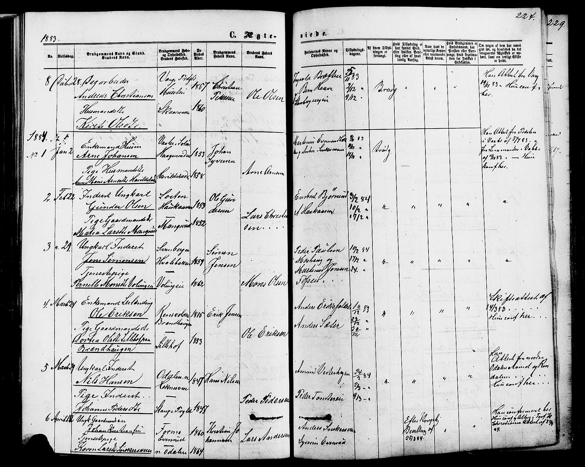 Romedal prestekontor, SAH/PREST-004/K/L0006: Parish register (official) no. 6, 1866-1886, p. 224