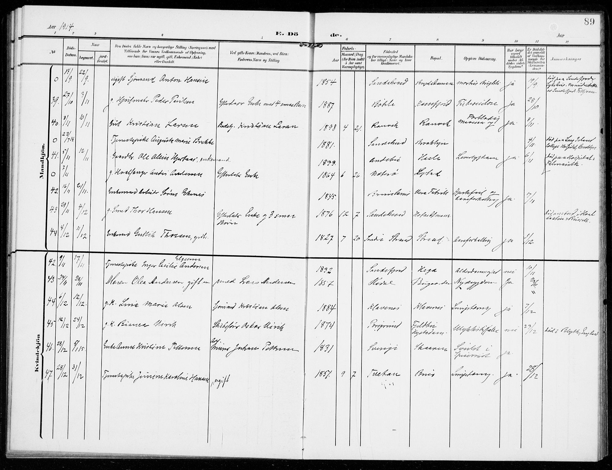 Sandar kirkebøker, AV/SAKO-A-243/F/Fa/L0019: Parish register (official) no. 19, 1908-1914, p. 89