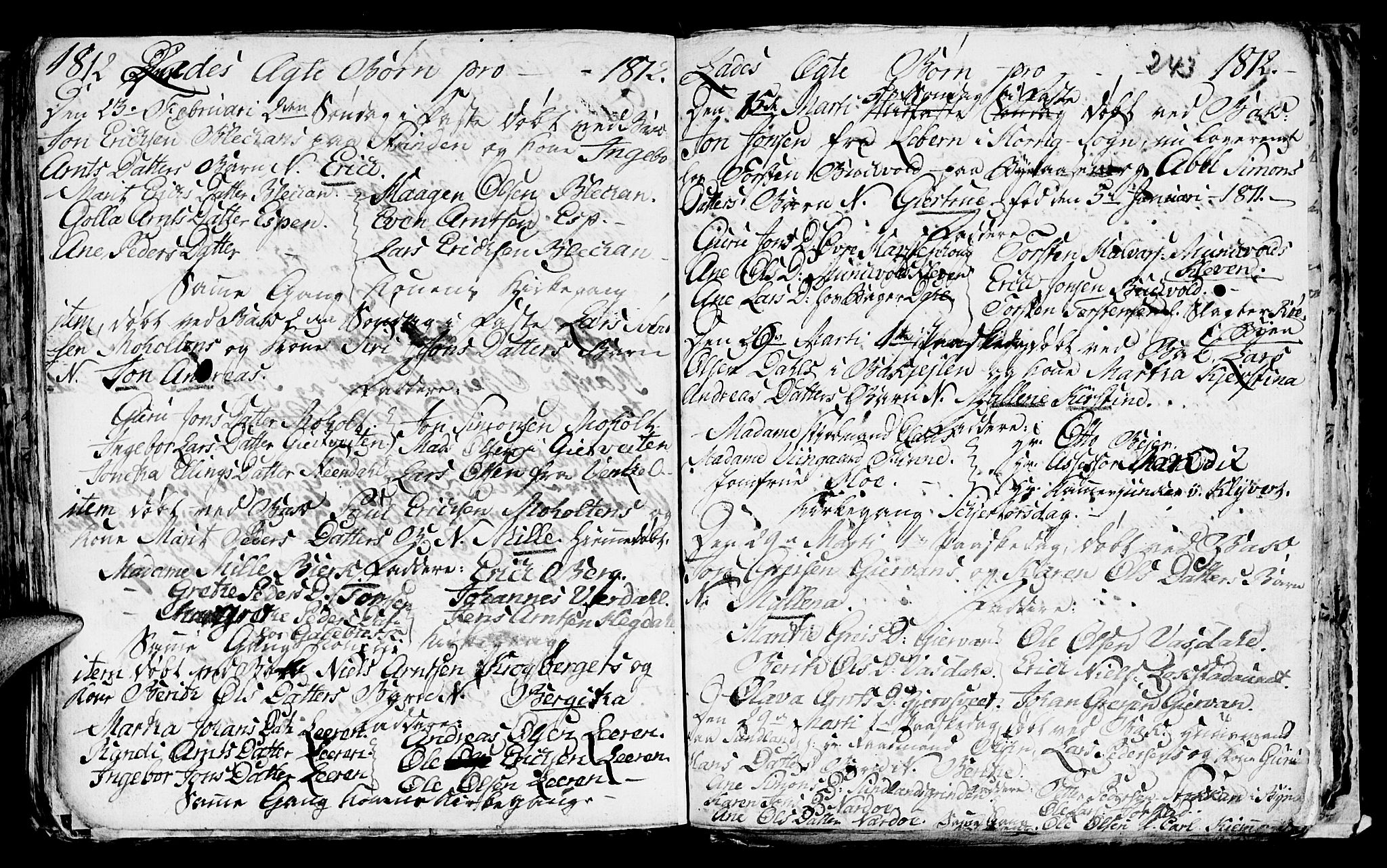 Ministerialprotokoller, klokkerbøker og fødselsregistre - Sør-Trøndelag, AV/SAT-A-1456/606/L0305: Parish register (copy) no. 606C01, 1757-1819, p. 243