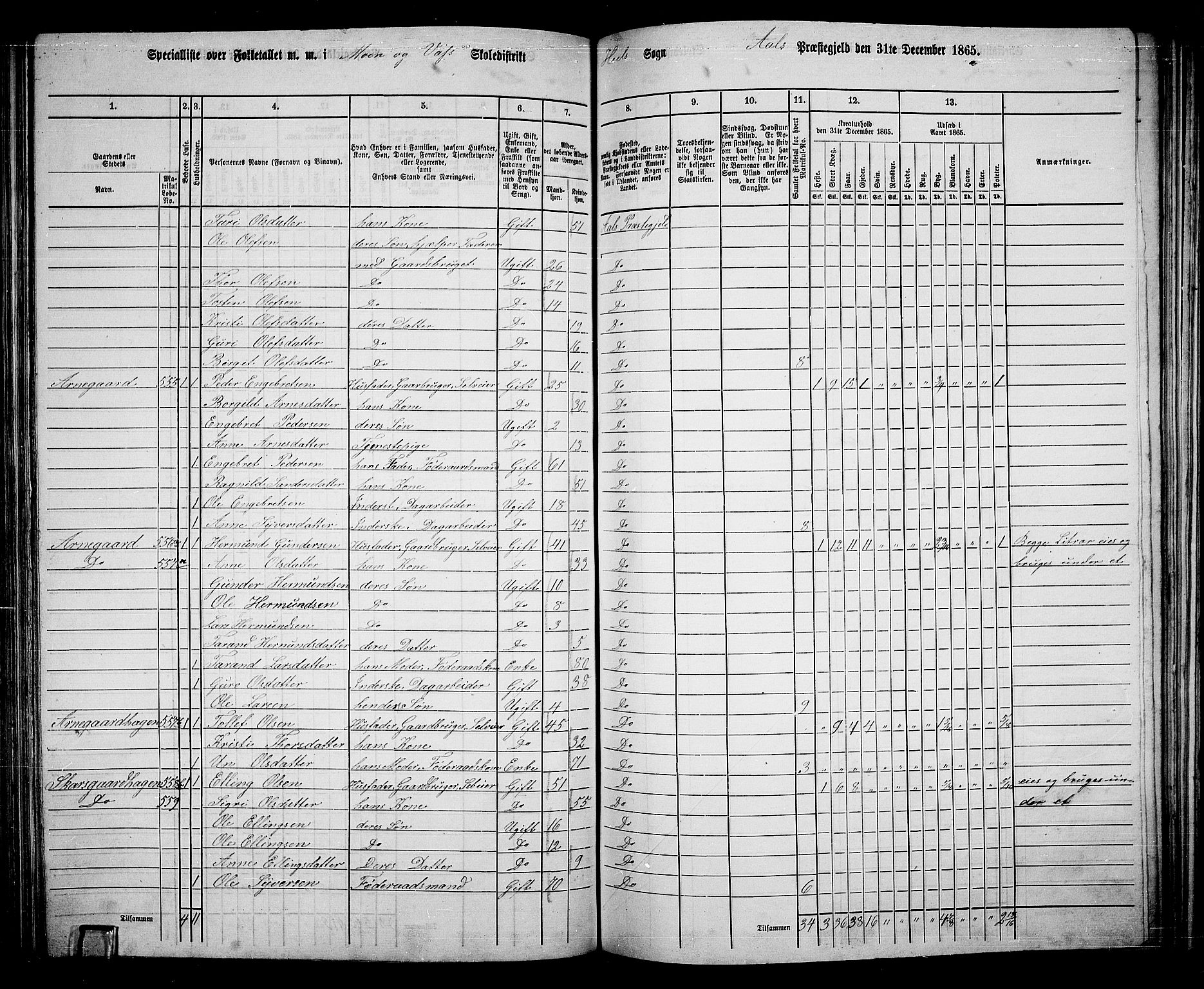 RA, 1865 census for Ål, 1865, p. 178