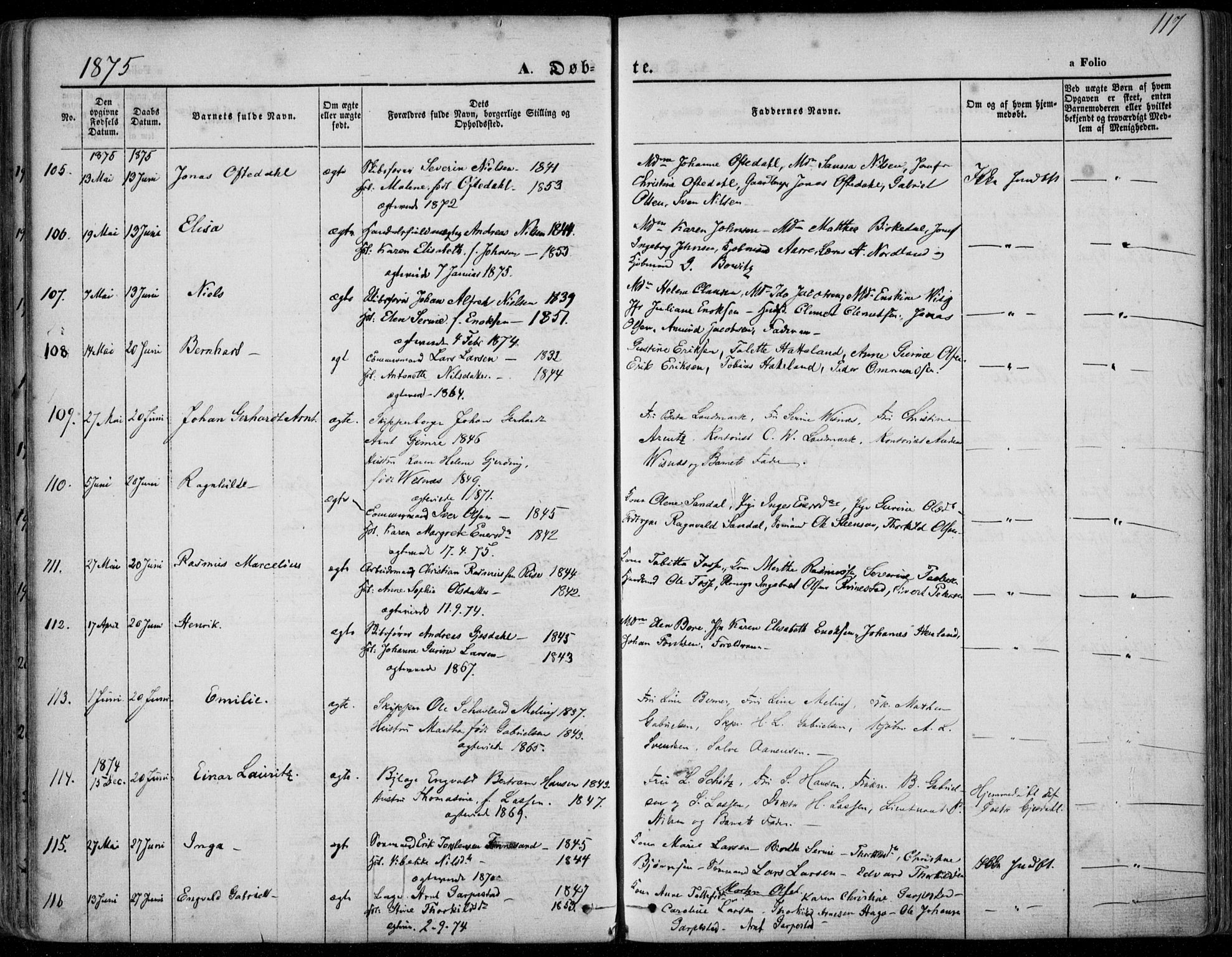 Domkirken sokneprestkontor, AV/SAST-A-101812/001/30/30BA/L0022: Parish register (official) no. A 21, 1868-1877, p. 117