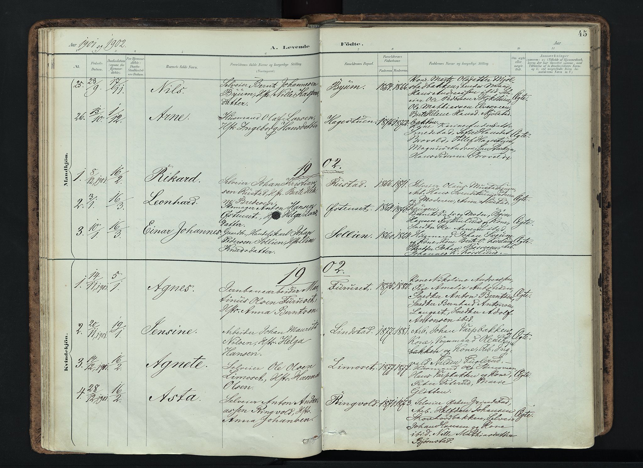 Vardal prestekontor, SAH/PREST-100/H/Ha/Haa/L0019: Parish register (official) no. 19, 1893-1907, p. 45