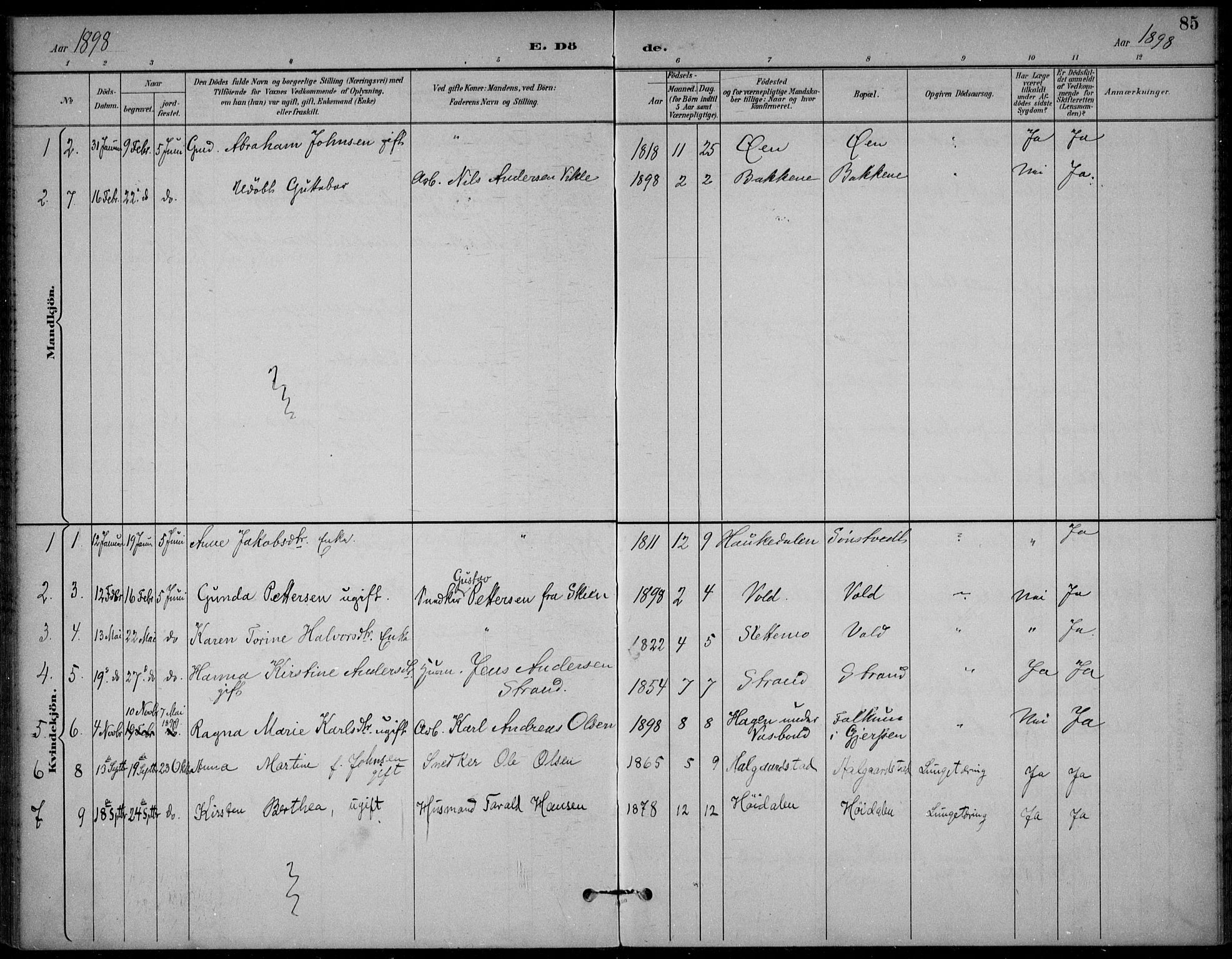 Solum kirkebøker, SAKO/A-306/F/Fc/L0002: Parish register (official) no. III 2, 1892-1906, p. 85