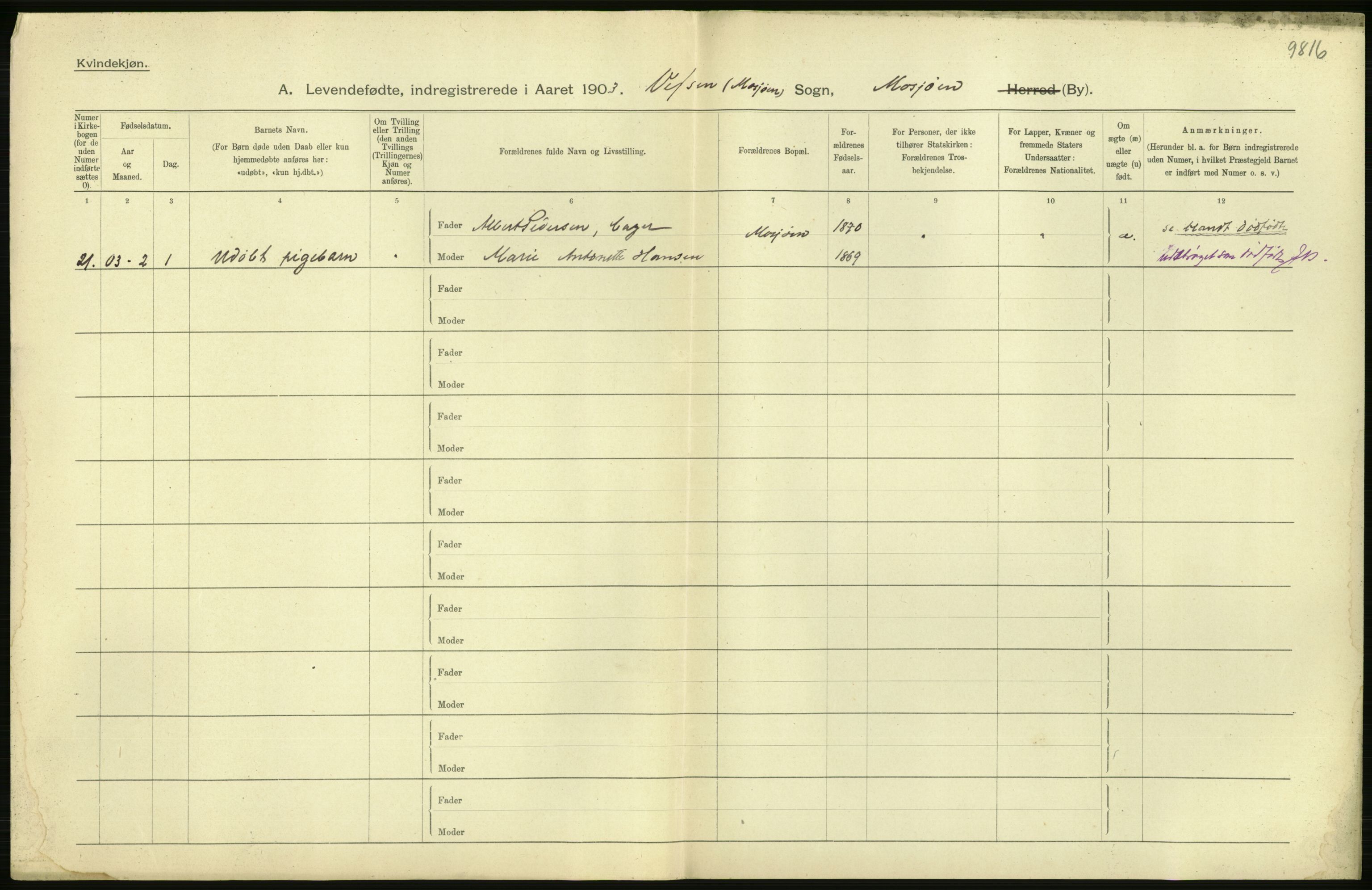 Statistisk sentralbyrå, Sosiodemografiske emner, Befolkning, AV/RA-S-2228/D/Df/Dfa/Dfaa/L0019: Nordlands amt: Fødte, gifte, døde., 1903, p. 24