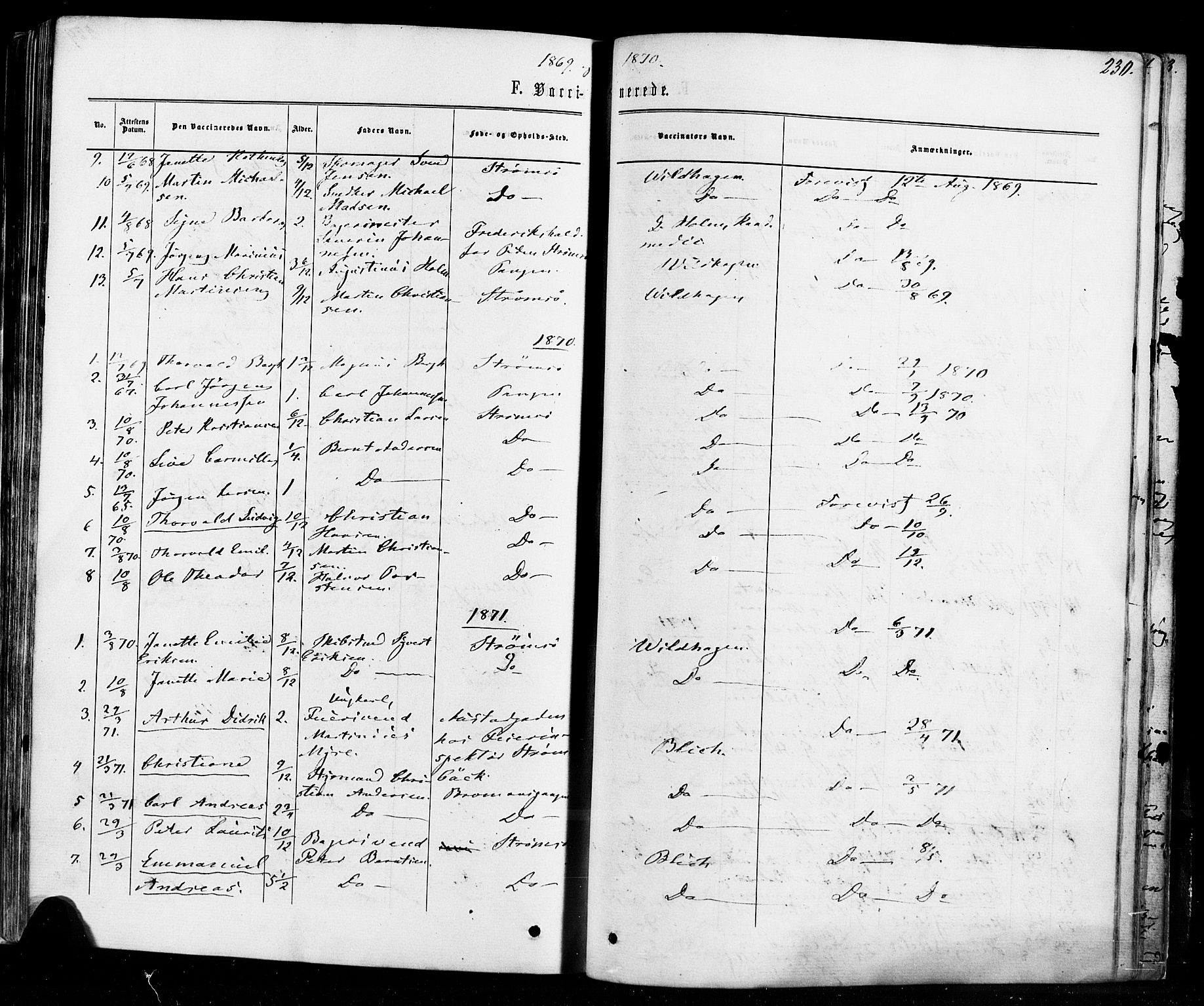 Strømsø kirkebøker, SAKO/A-246/F/Fa/L0018: Parish register (official) no. I 18, 1865-1878, p. 230