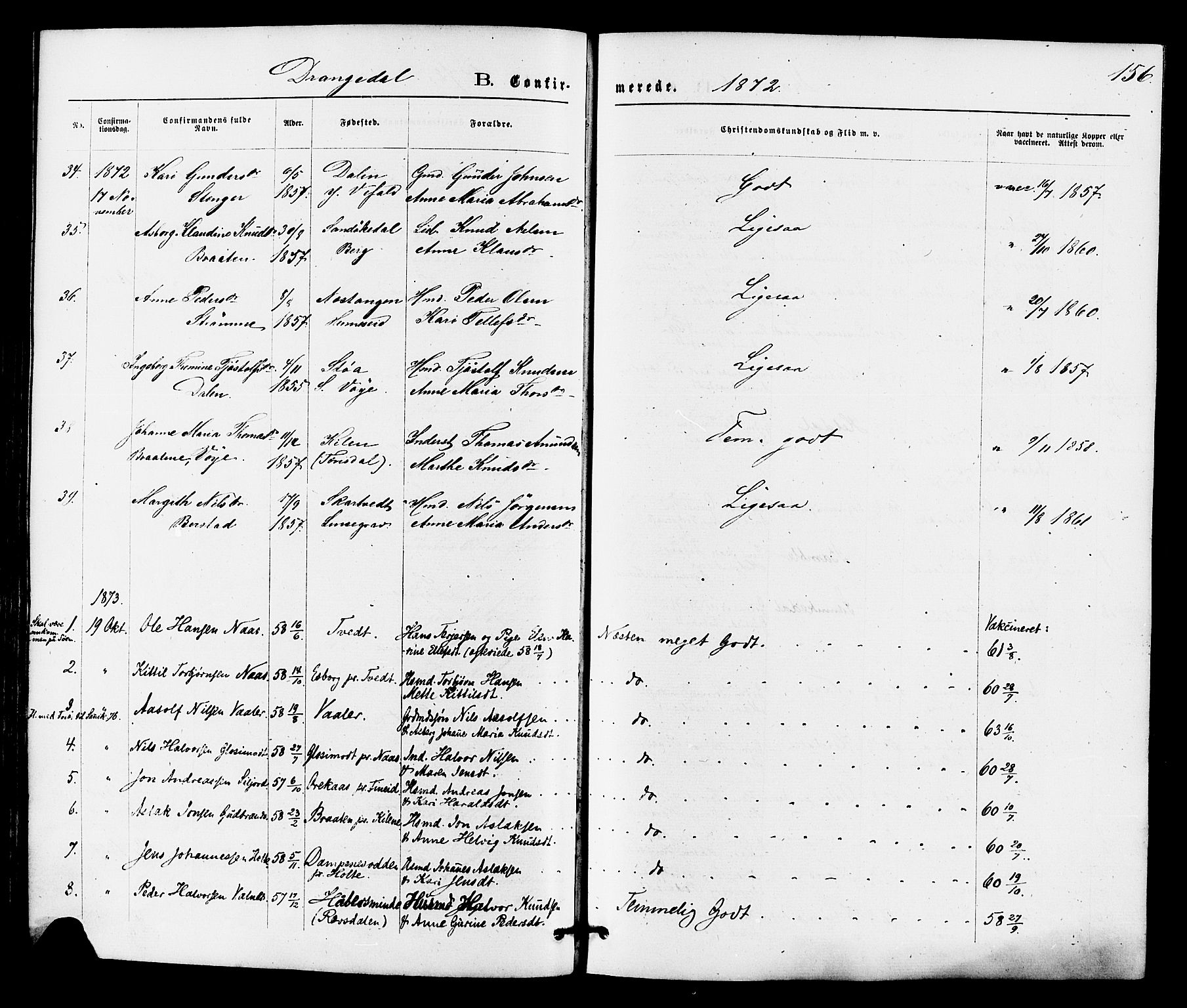Drangedal kirkebøker, SAKO/A-258/F/Fa/L0009: Parish register (official) no. 9 /1, 1872-1884, p. 156