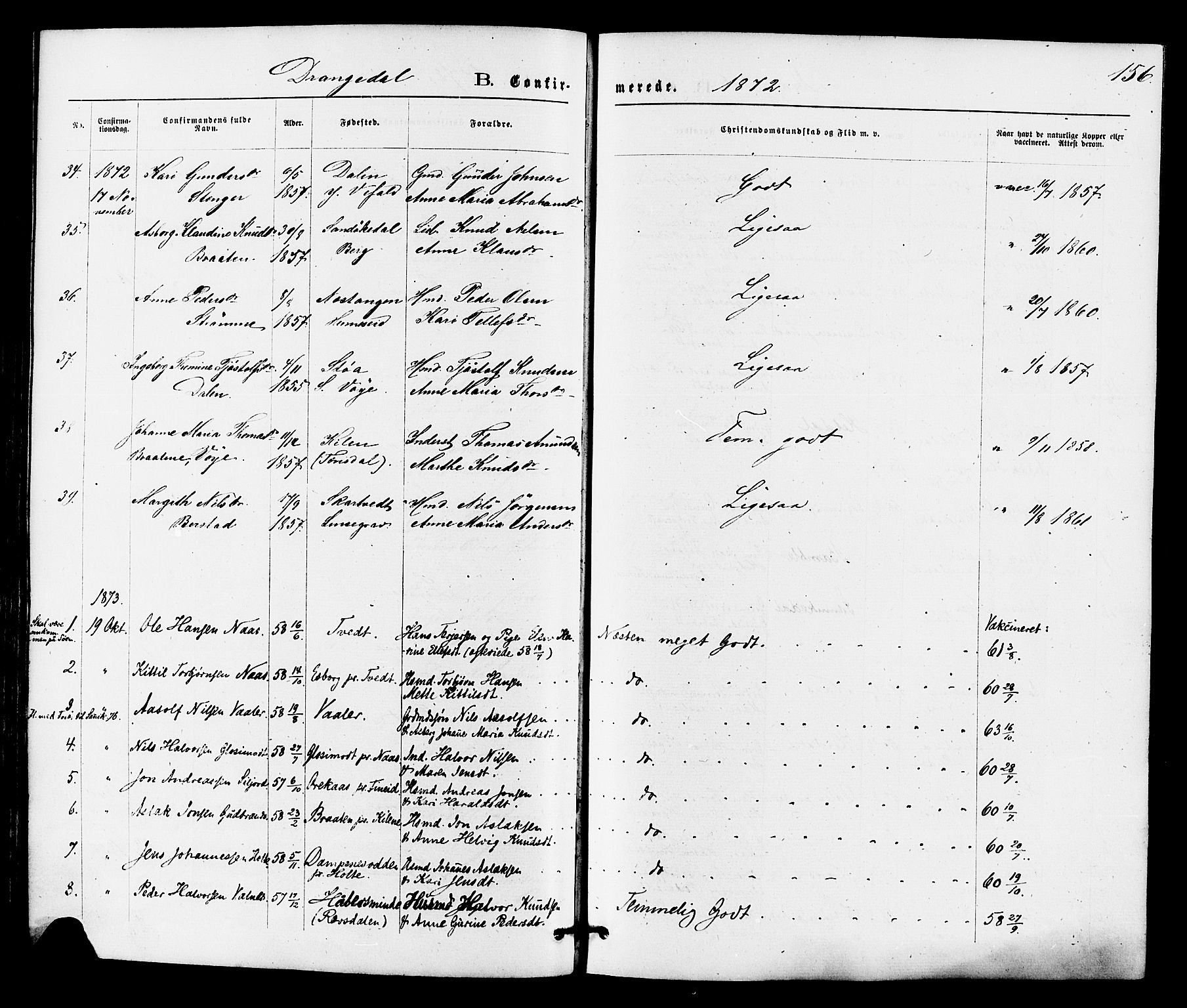 Drangedal kirkebøker, AV/SAKO-A-258/F/Fa/L0009: Parish register (official) no. 9 /1, 1872-1884, p. 156