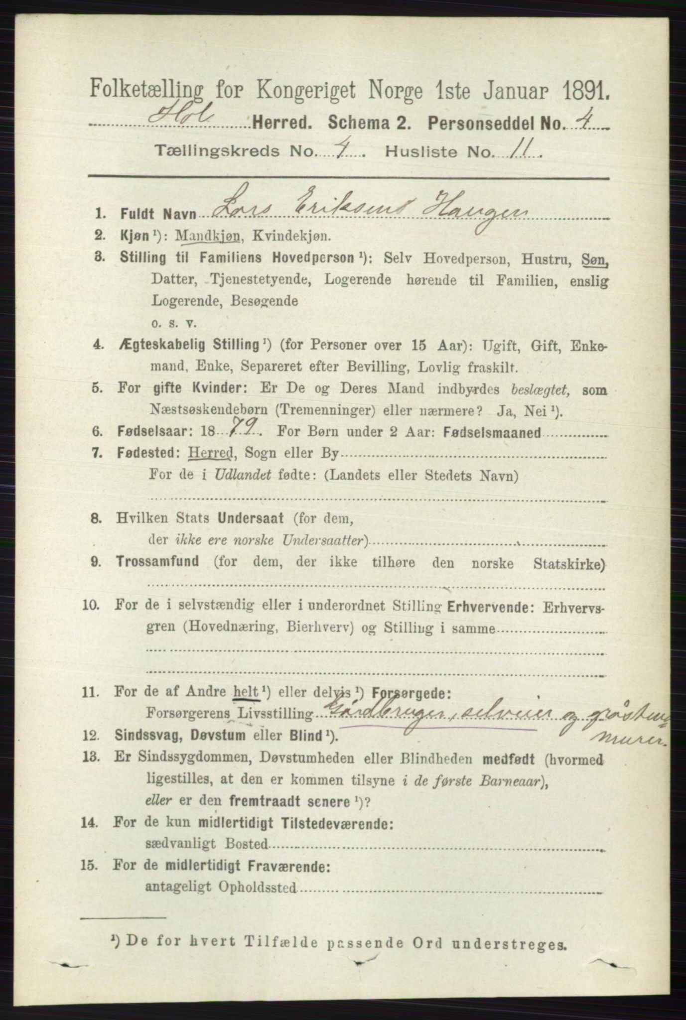 RA, 1891 census for 0620 Hol, 1891, p. 1319