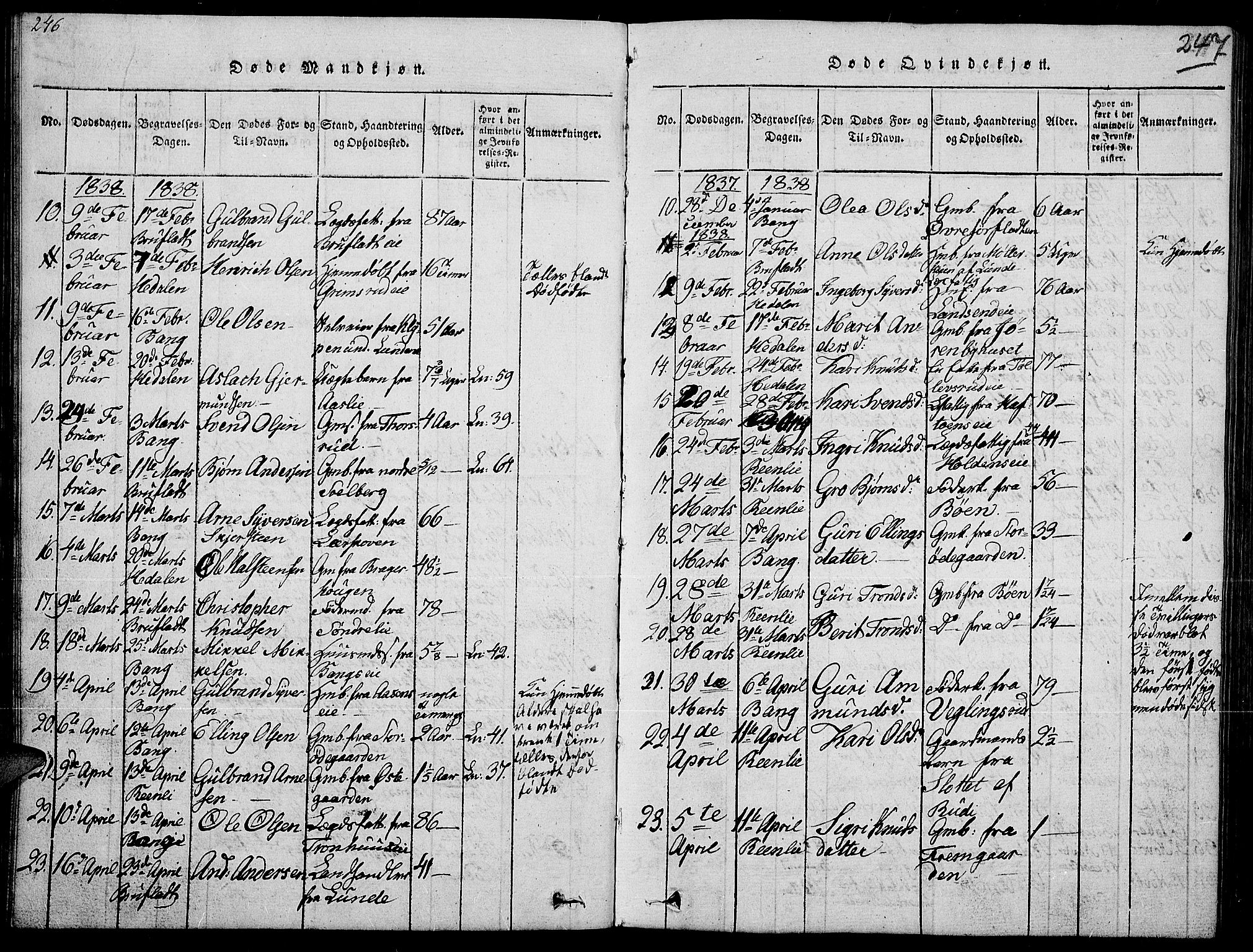 Sør-Aurdal prestekontor, SAH/PREST-128/H/Ha/Hab/L0002: Parish register (copy) no. 2, 1826-1840, p. 246-247
