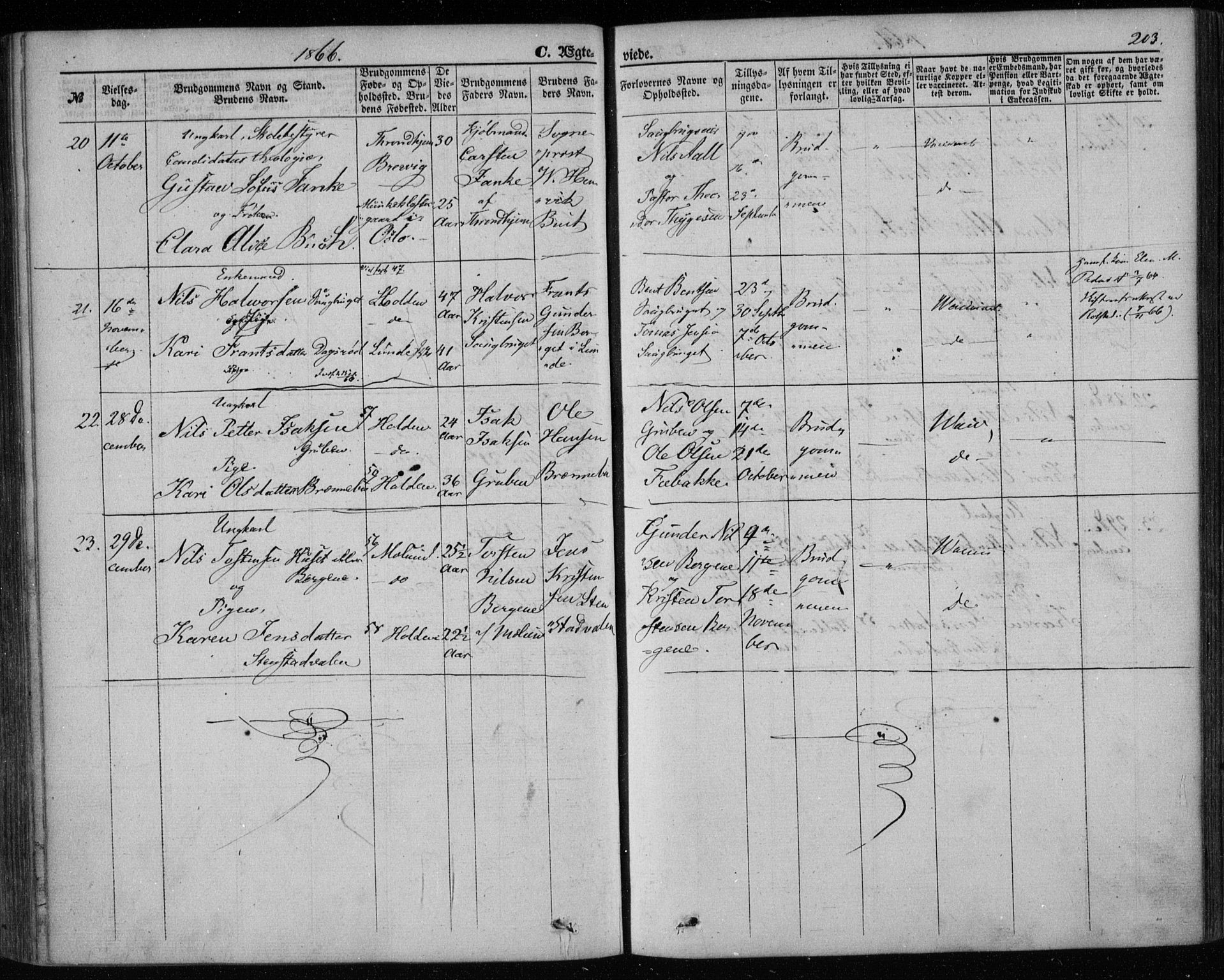 Holla kirkebøker, SAKO/A-272/F/Fa/L0006: Parish register (official) no. 6, 1861-1869, p. 203