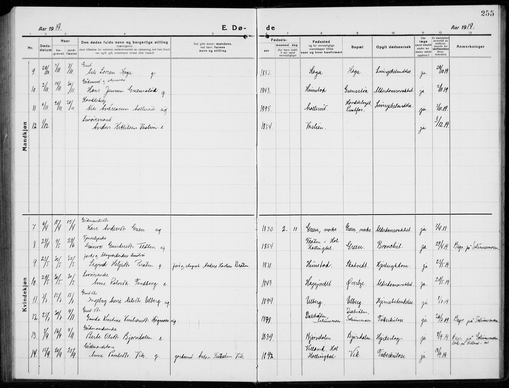 Sigdal kirkebøker, AV/SAKO-A-245/G/Ga/L0007: Parish register (copy) no. I 7, 1917-1935, p. 255