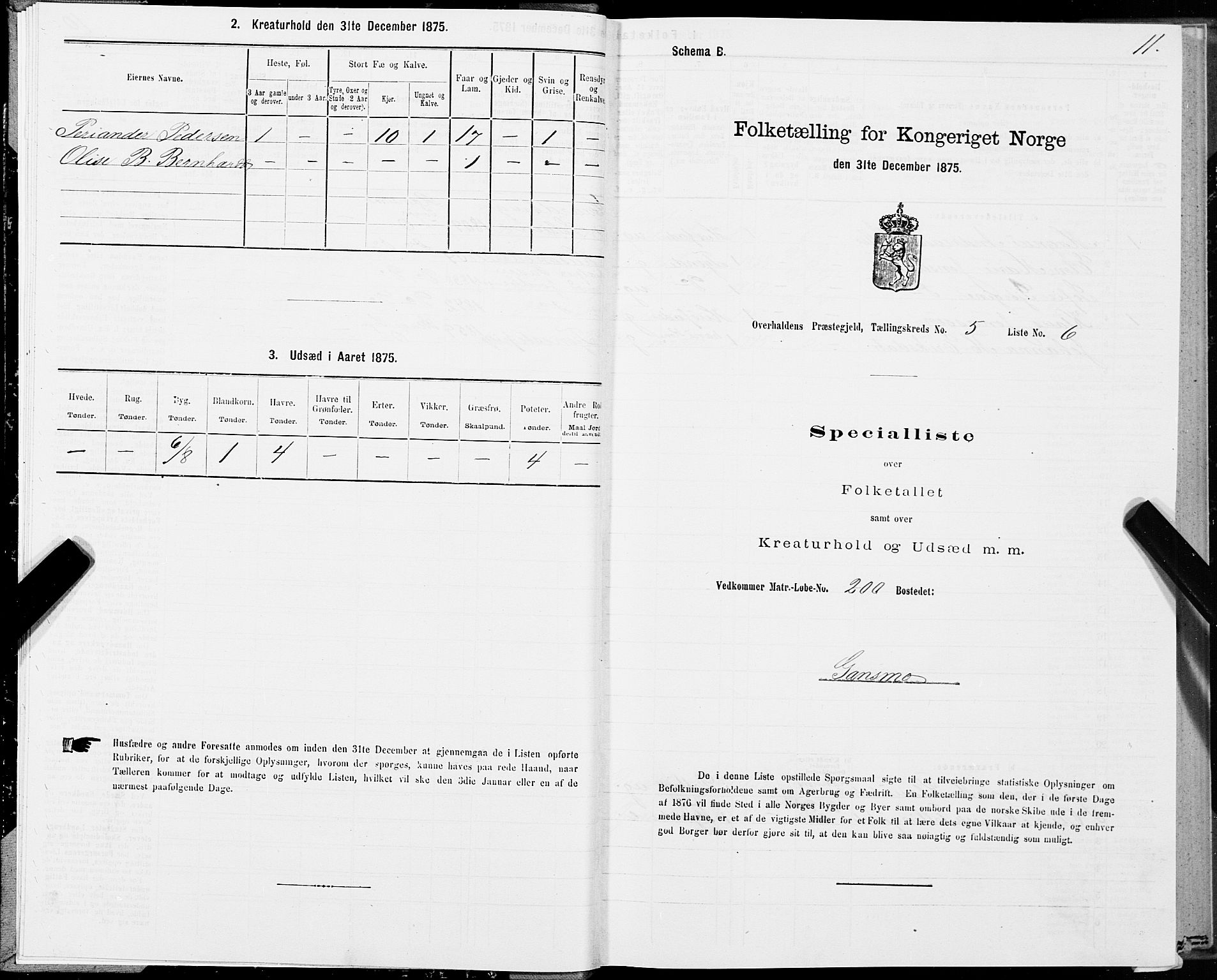 SAT, 1875 census for 1744P Overhalla, 1875, p. 3011