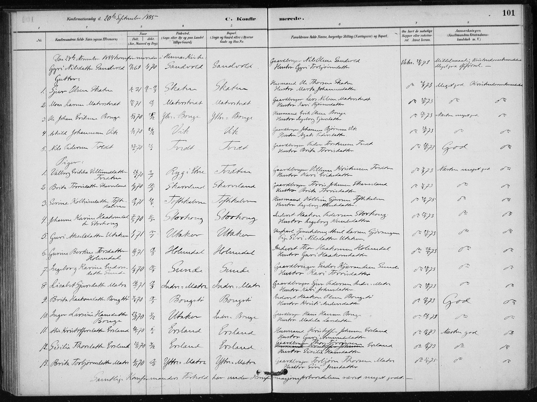 Skånevik sokneprestembete, SAB/A-77801/H/Haa: Parish register (official) no. C  1, 1879-1917, p. 101