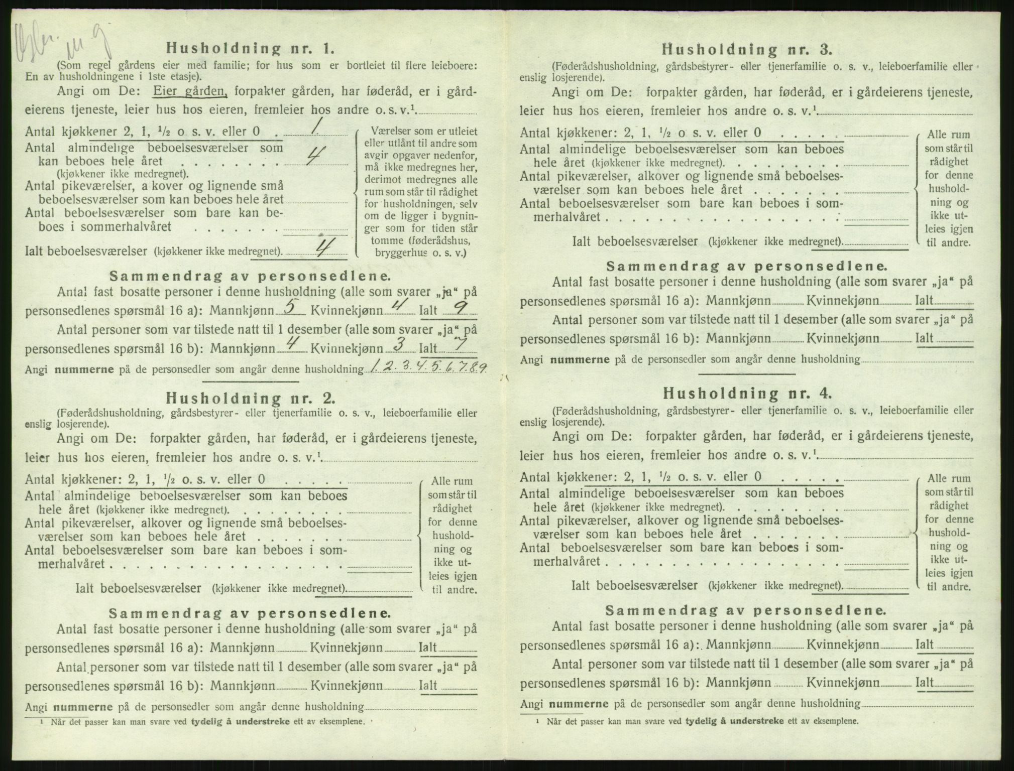 SAT, 1920 census for Borgund, 1920, p. 1253