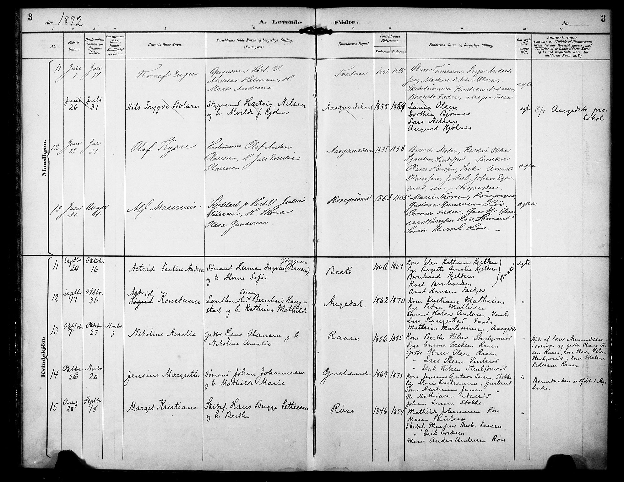 Borre kirkebøker, SAKO/A-338/F/Fa/L0010: Parish register (official) no. I 10, 1892-1896, p. 3