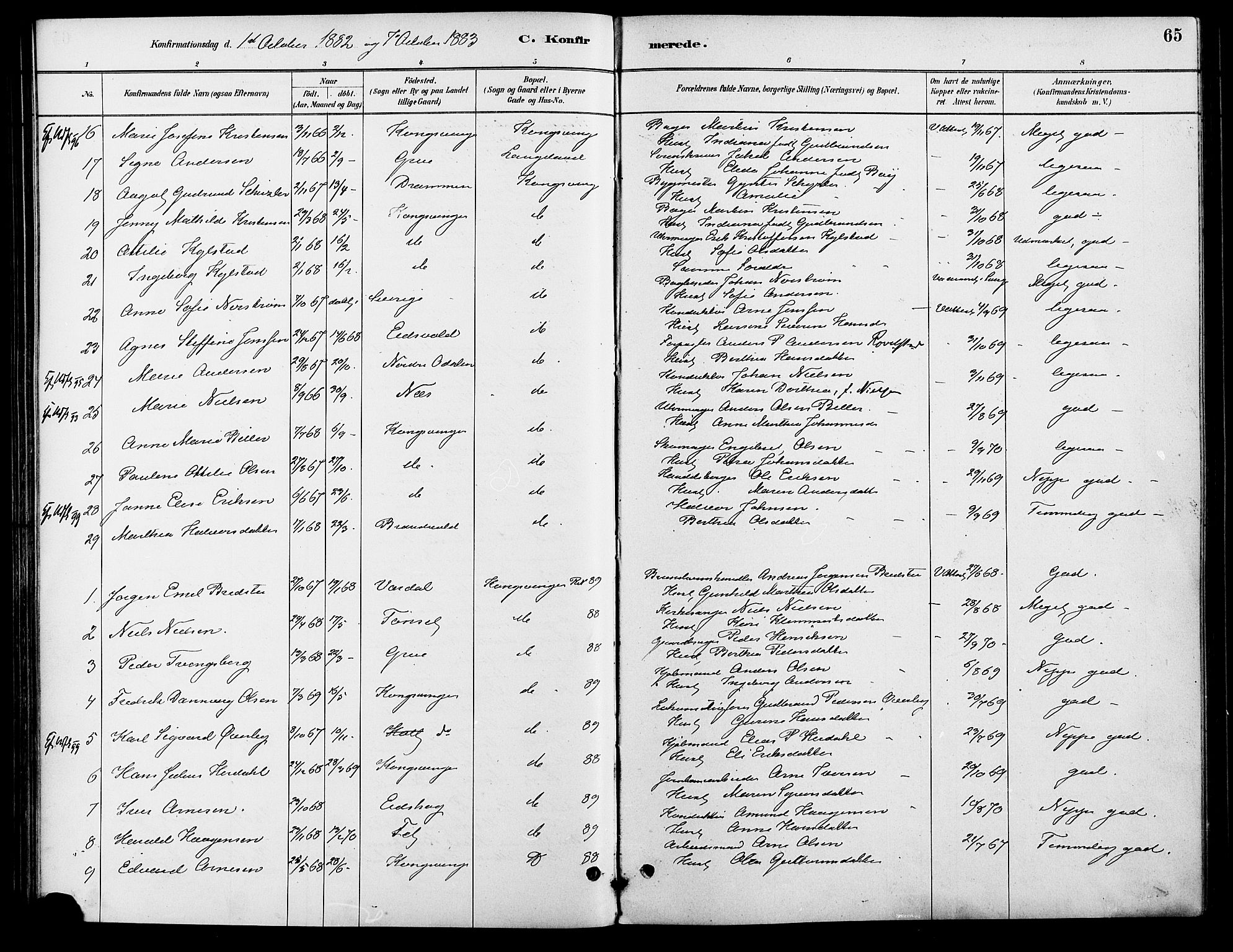 Vinger prestekontor, AV/SAH-PREST-024/H/Ha/Haa/L0013: Parish register (official) no. 13, 1881-1897, p. 65