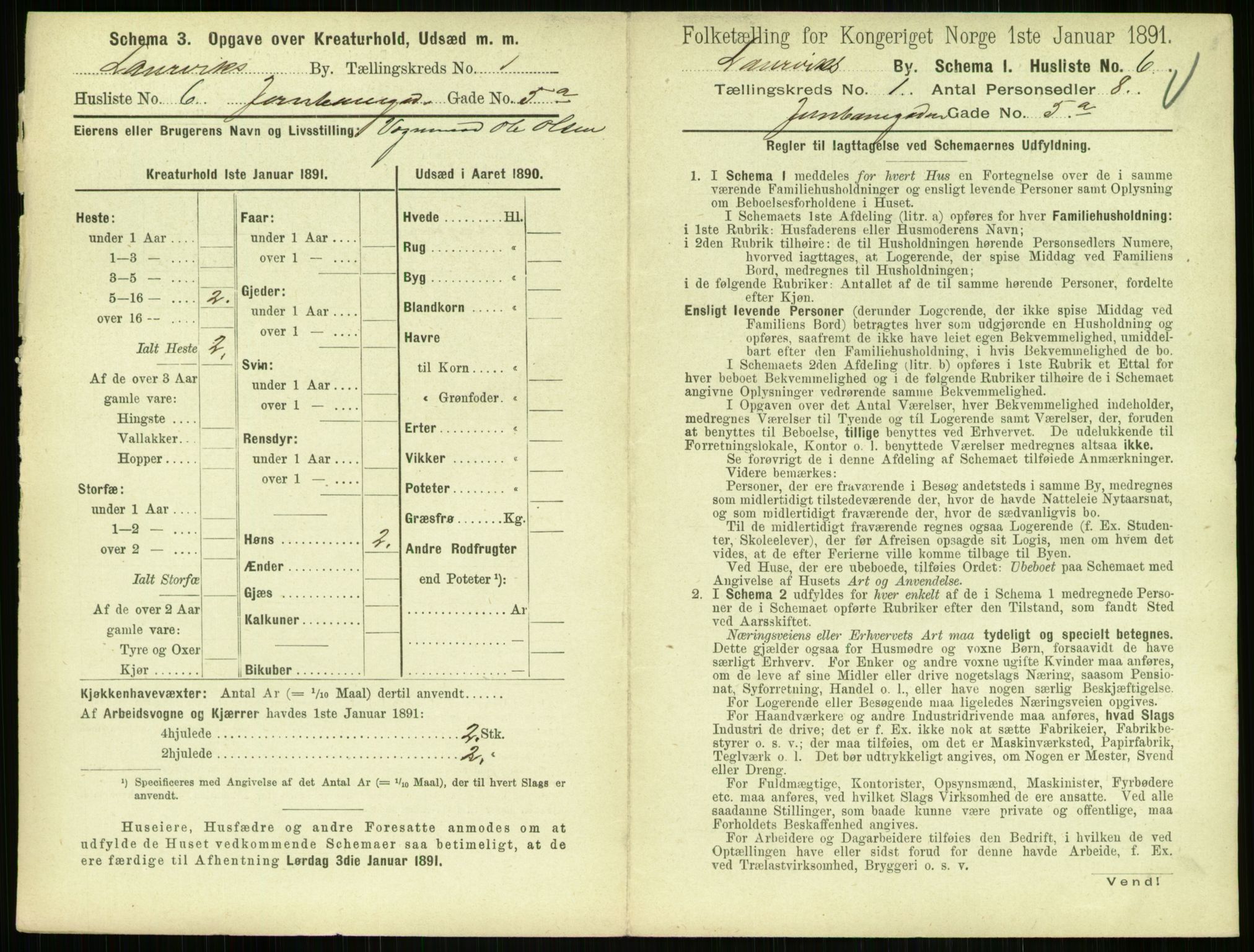 RA, 1891 census for 0707 Larvik, 1891, p. 55