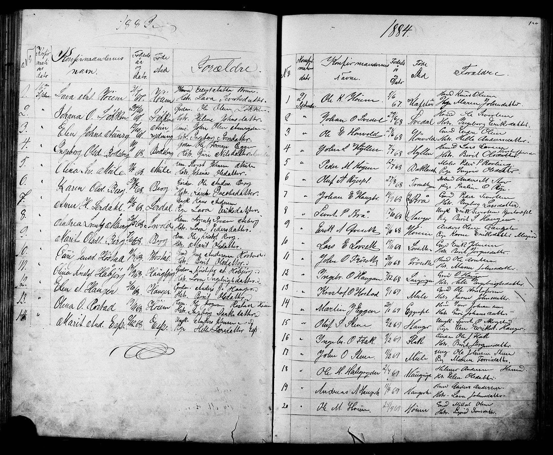 Ministerialprotokoller, klokkerbøker og fødselsregistre - Sør-Trøndelag, AV/SAT-A-1456/612/L0387: Parish register (copy) no. 612C03, 1874-1908, p. 120