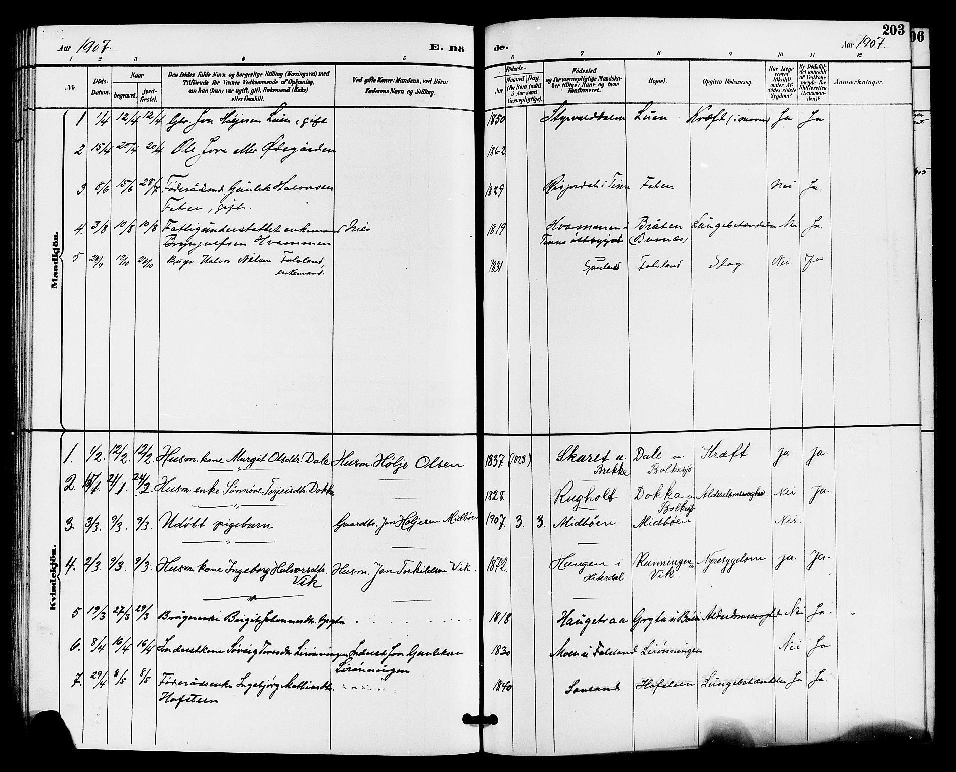 Gransherad kirkebøker, SAKO/A-267/G/Ga/L0003: Parish register (copy) no. I 3, 1887-1915, p. 203