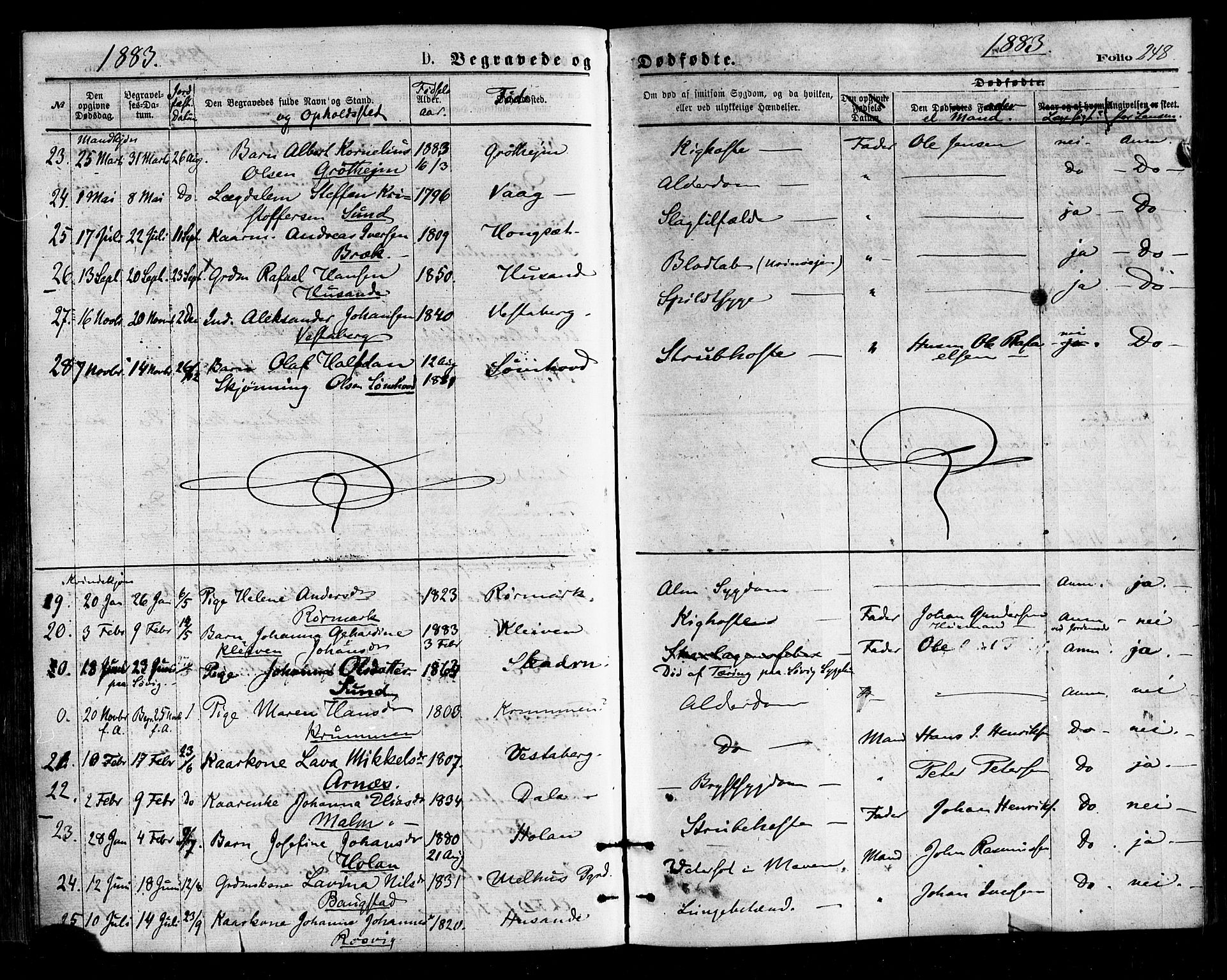 Ministerialprotokoller, klokkerbøker og fødselsregistre - Nordland, AV/SAT-A-1459/812/L0177: Parish register (official) no. 812A06, 1875-1885, p. 248