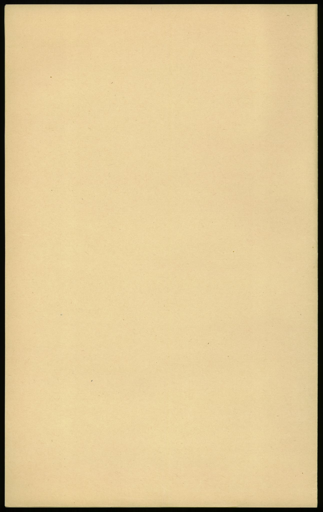 Samlinger til kildeutgivelse, Amerikabrevene, RA/EA-4057/F/L0013: Innlån fra Oppland: Lie (brevnr 79-115) - Nordrum, 1838-1914, p. 216