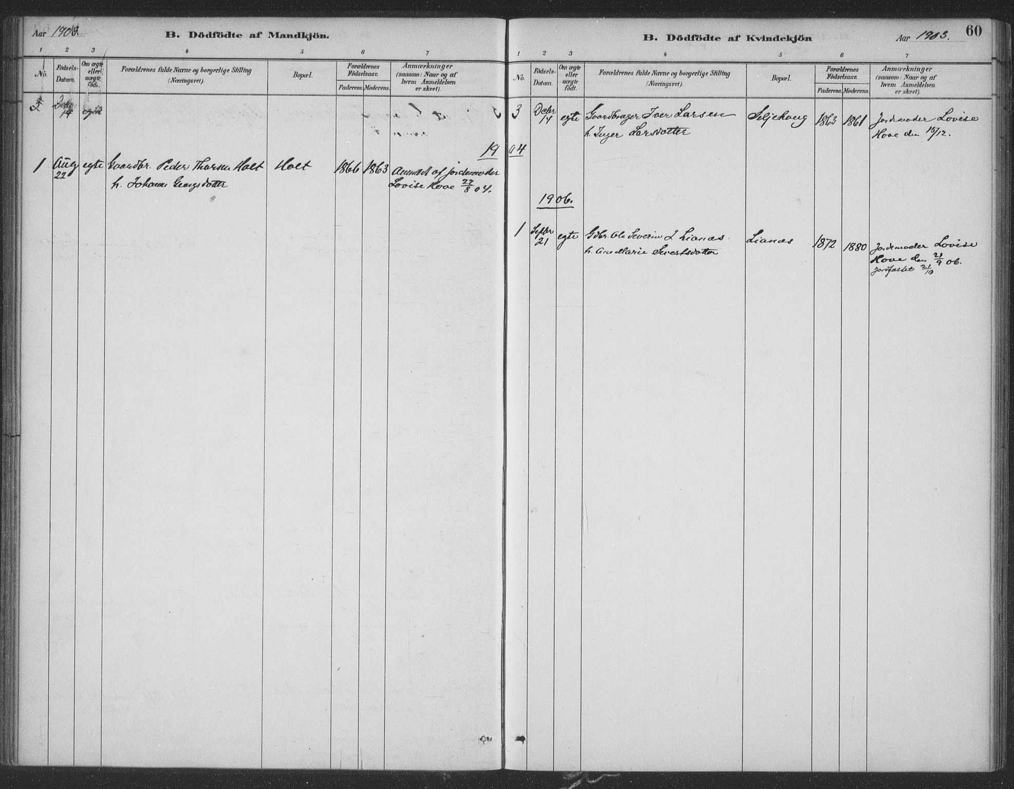 Ministerialprotokoller, klokkerbøker og fødselsregistre - Møre og Romsdal, SAT/A-1454/521/L0299: Parish register (official) no. 521A01, 1882-1907, p. 60