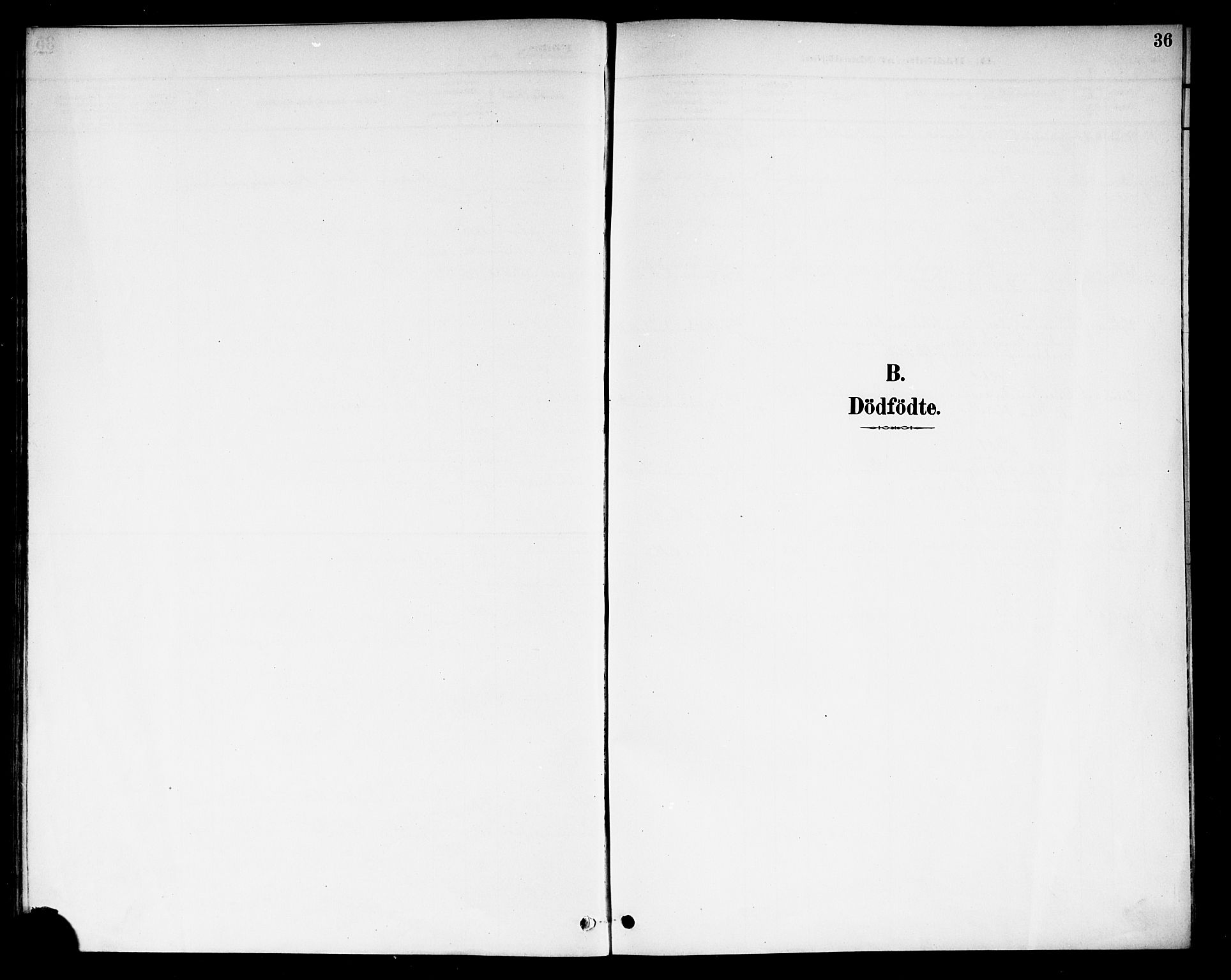 Berg prestekontor Kirkebøker, SAO/A-10902/F/Fb/L0002: Parish register (official) no. II 2, 1888-1902, p. 36