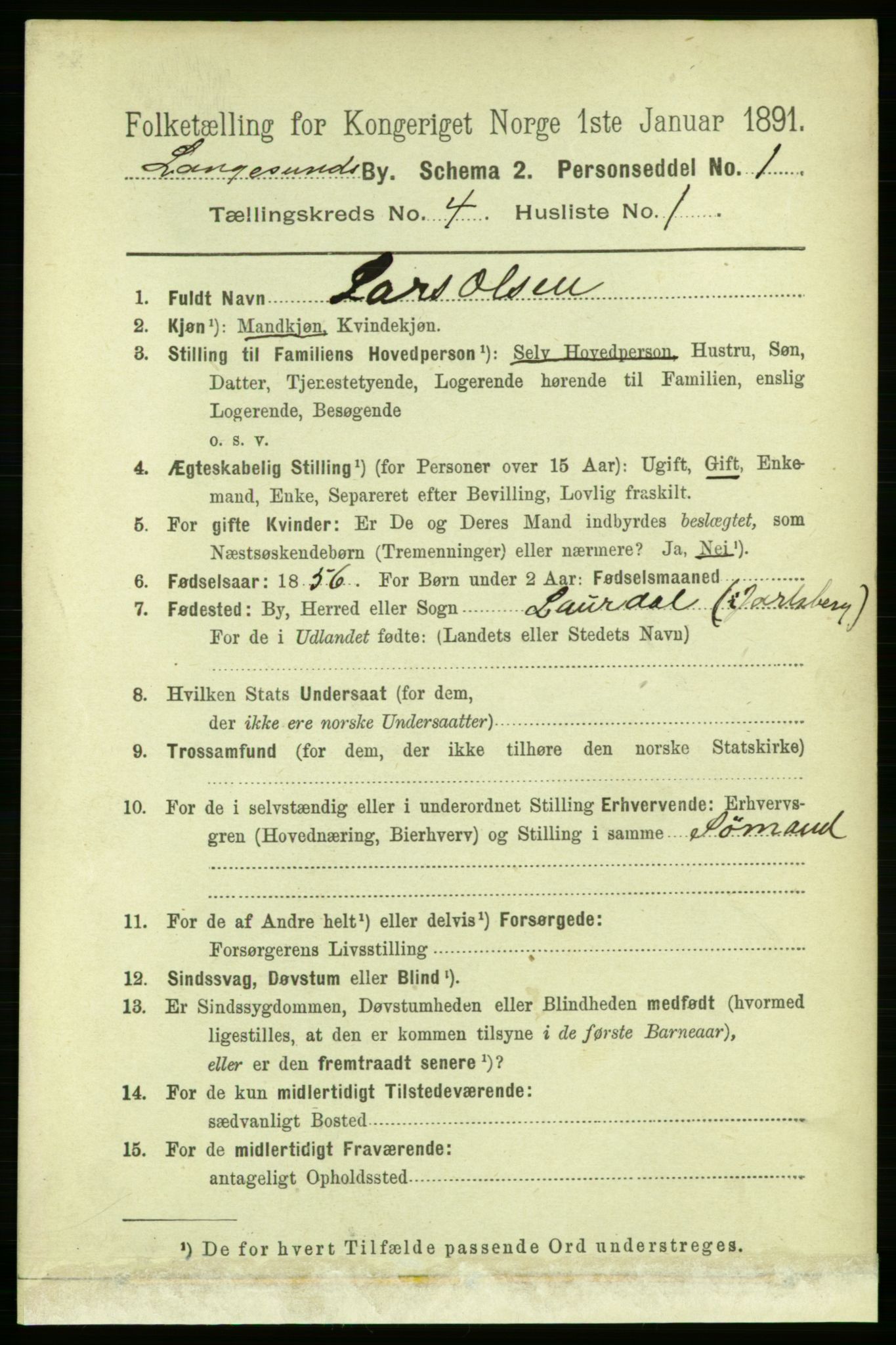 RA, 1891 census for 0802 Langesund, 1891, p. 1153