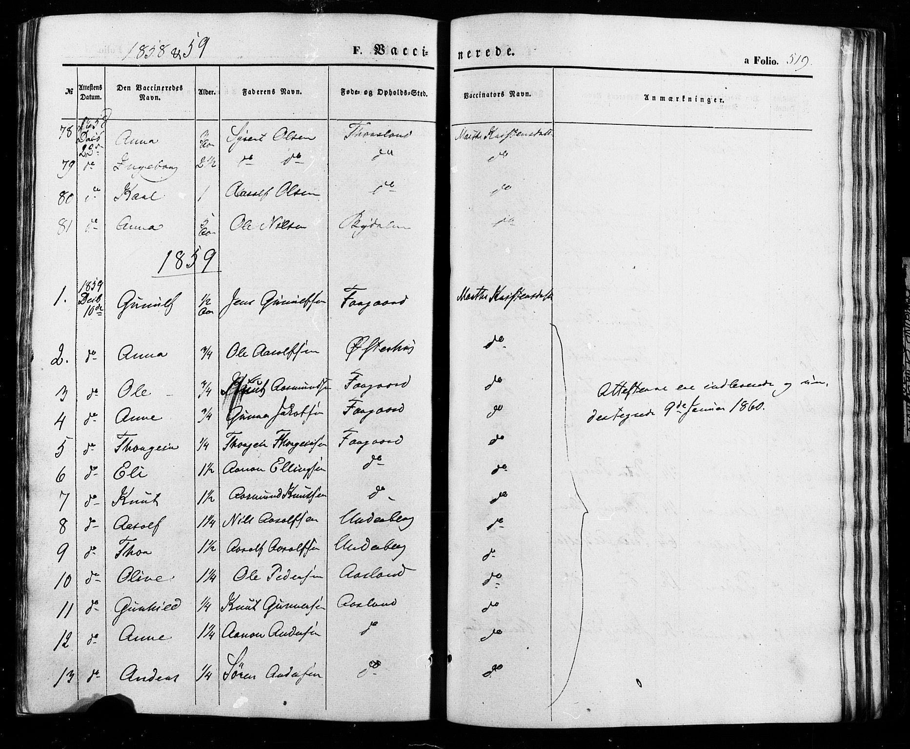 Åseral sokneprestkontor, SAK/1111-0051/F/Fa/L0002: Parish register (official) no. A 2, 1854-1884, p. 519