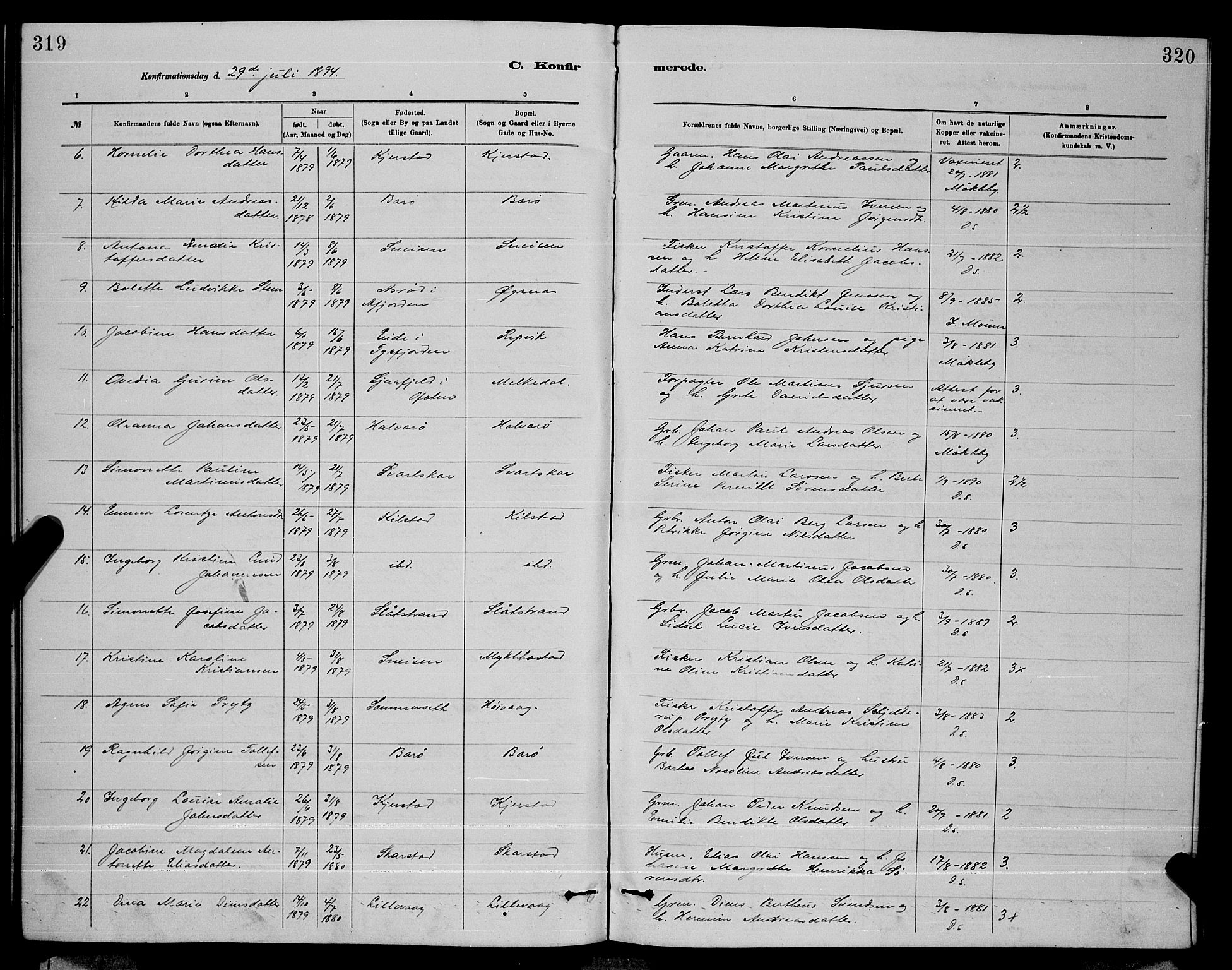 Ministerialprotokoller, klokkerbøker og fødselsregistre - Nordland, AV/SAT-A-1459/872/L1047: Parish register (copy) no. 872C03, 1880-1897, p. 319-320