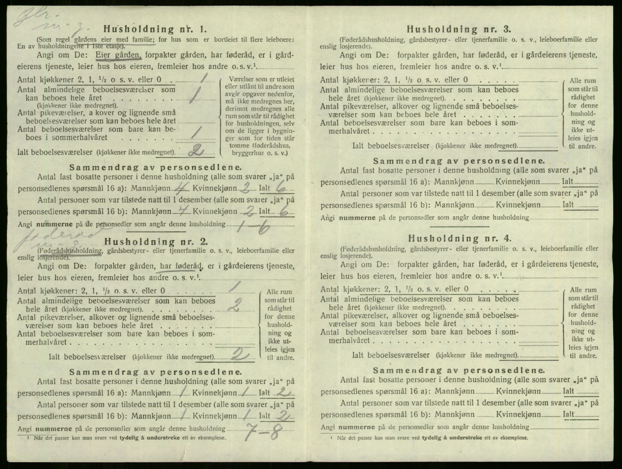 SAKO, 1920 census for Nes (Buskerud), 1920, p. 37