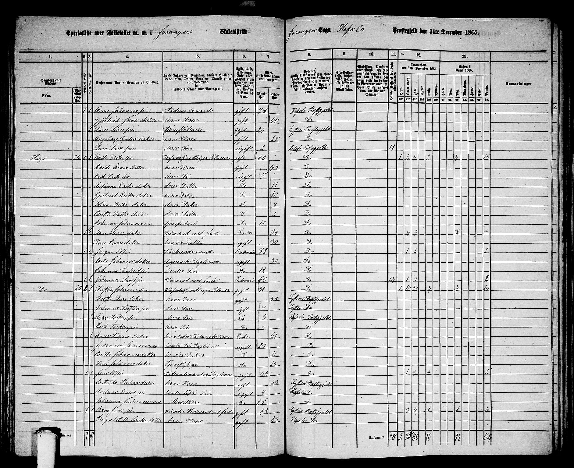 RA, 1865 census for Hafslo, 1865, p. 125