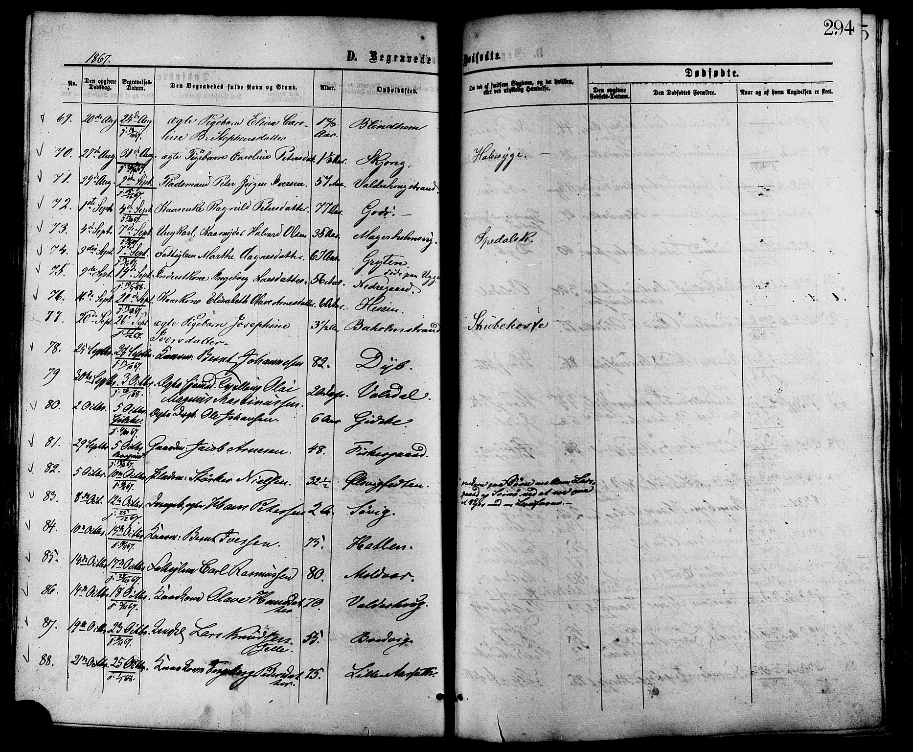 Ministerialprotokoller, klokkerbøker og fødselsregistre - Møre og Romsdal, AV/SAT-A-1454/528/L0399: Parish register (official) no. 528A10, 1864-1879, p. 294