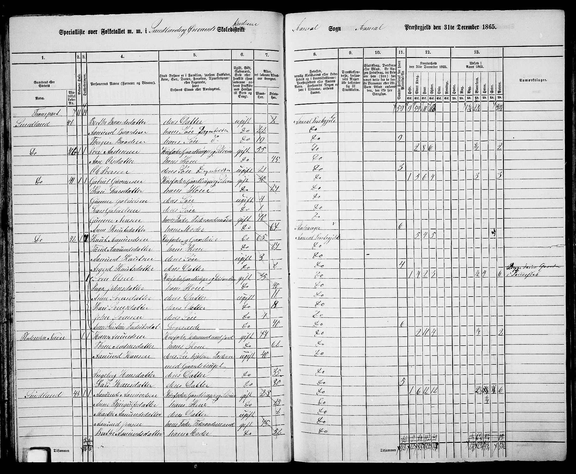 RA, 1865 census for Åseral, 1865, p. 47