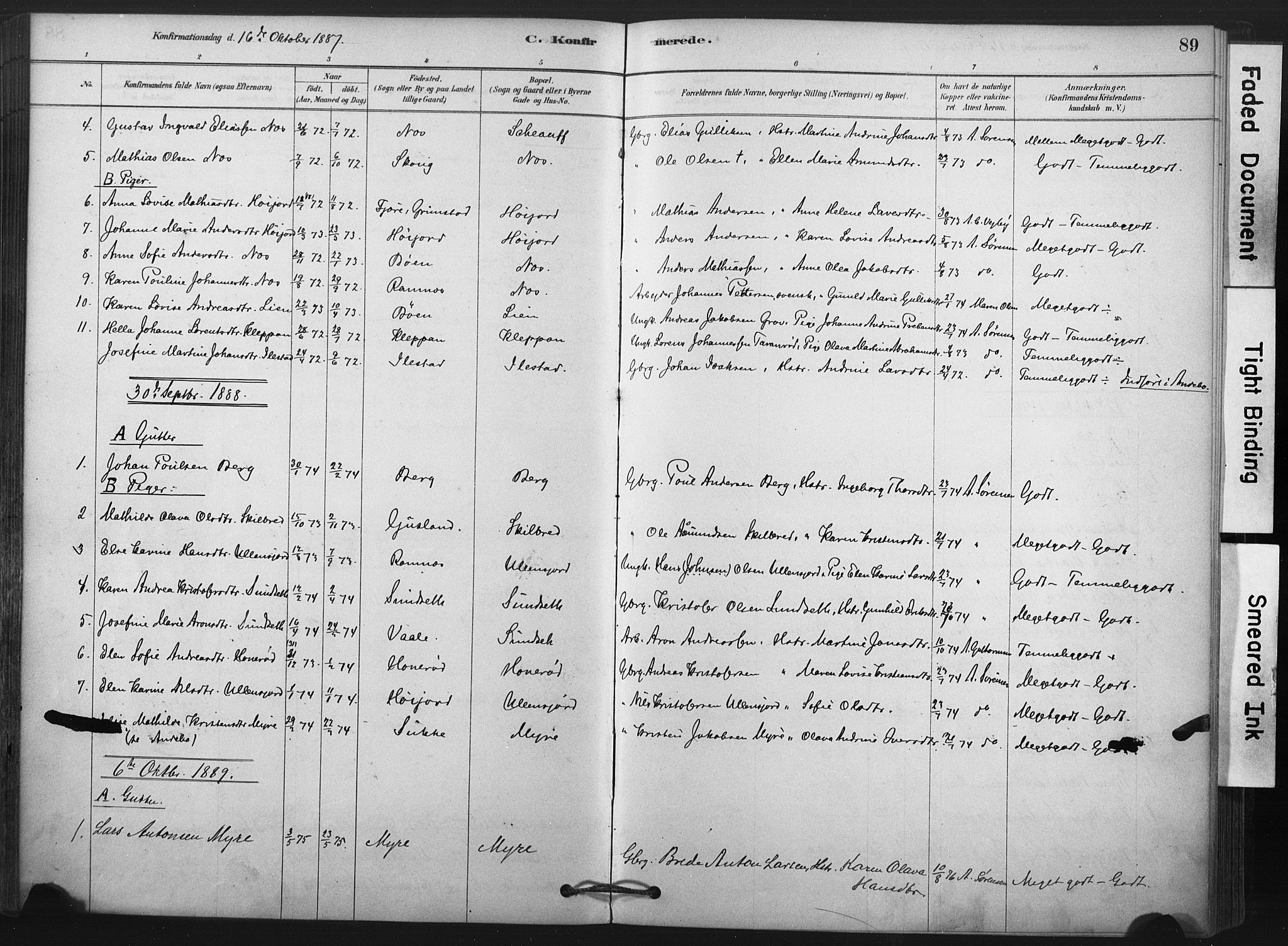 Andebu kirkebøker, AV/SAKO-A-336/F/Fa/L0009: Parish register (official) no. 9, 1878-1909, p. 89