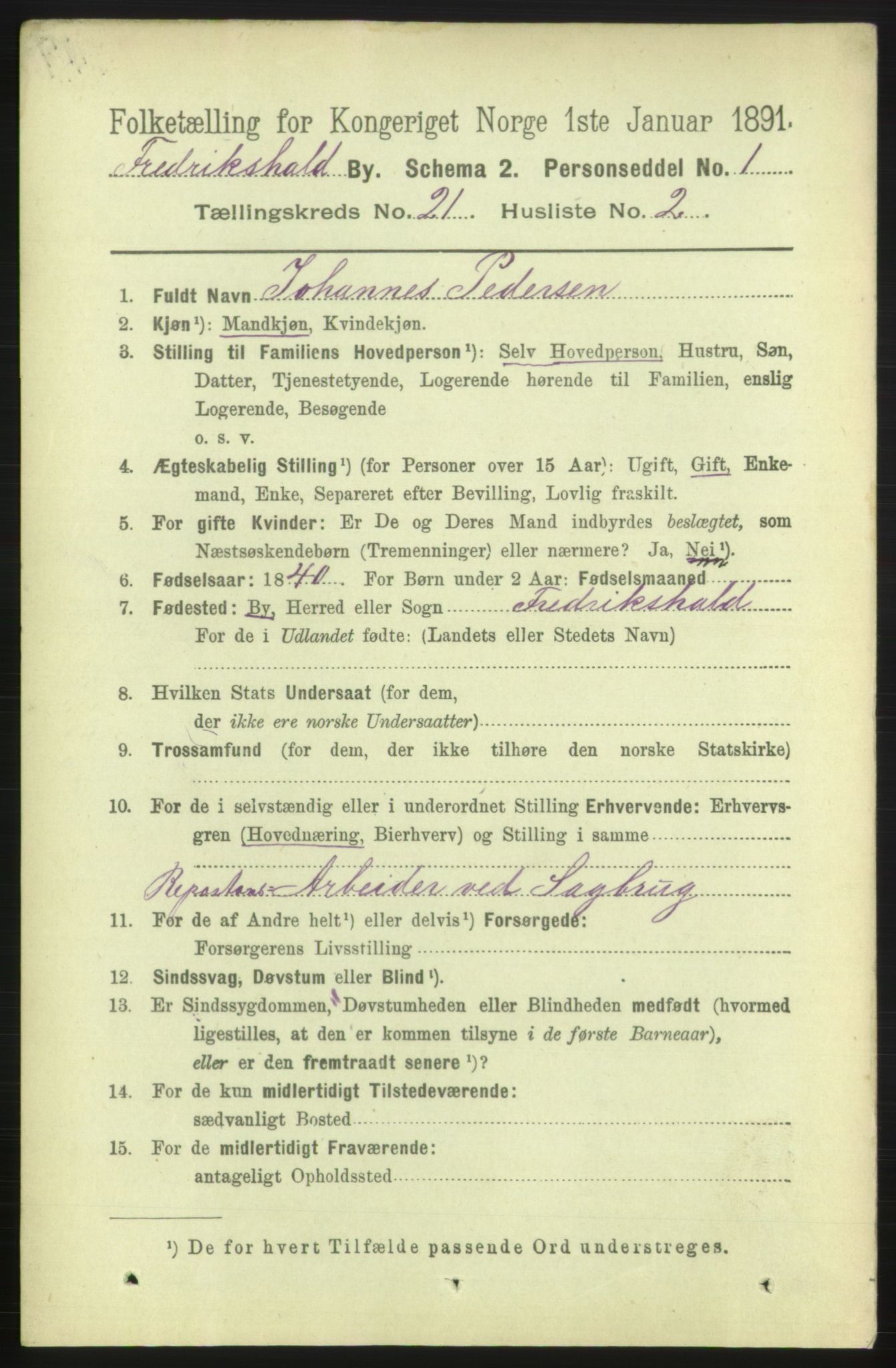 RA, 1891 census for 0101 Fredrikshald, 1891, p. 13079