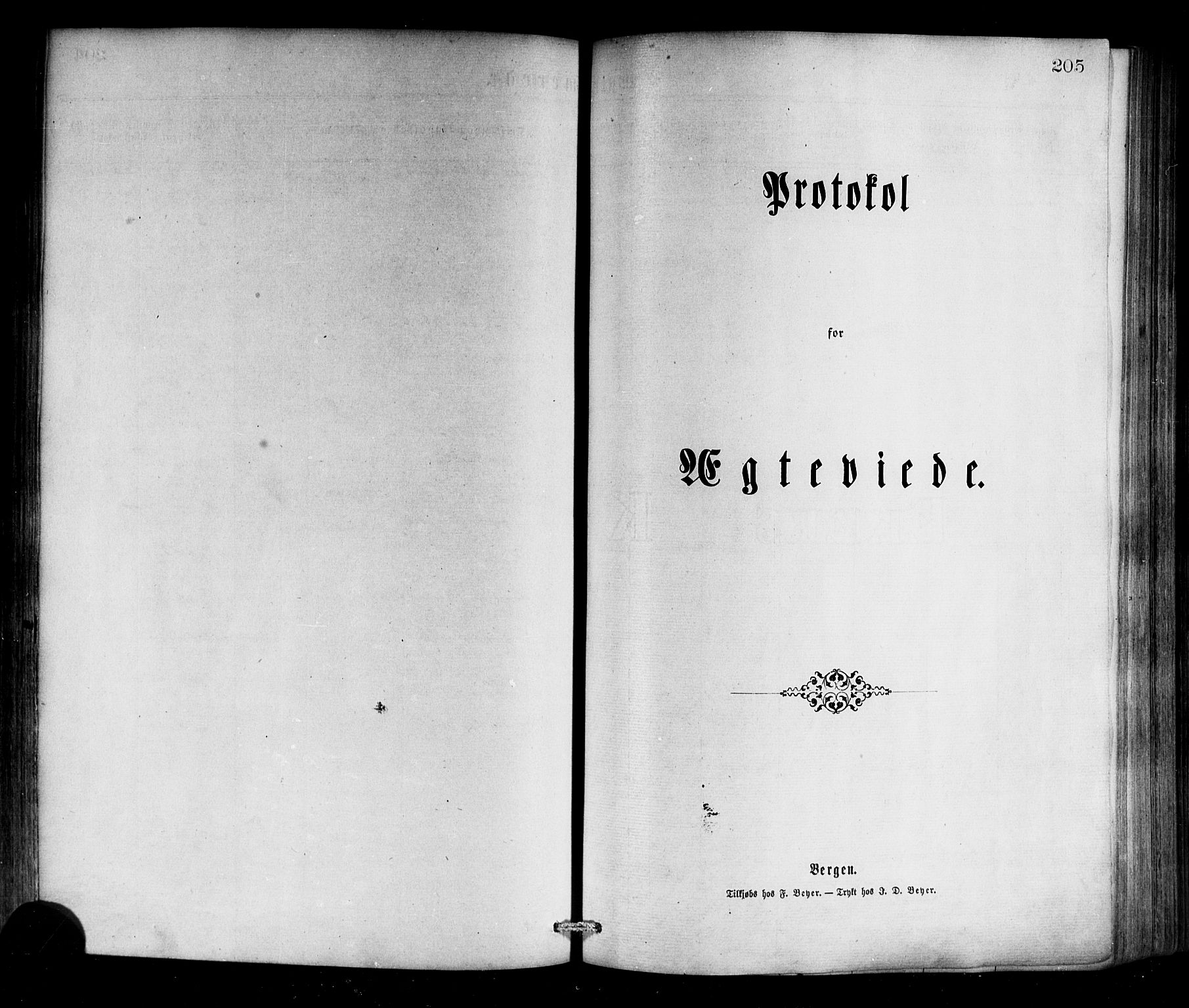 Selje sokneprestembete, SAB/A-99938/H/Ha/Haa/Haaa: Parish register (official) no. A 12, 1870-1880, p. 205