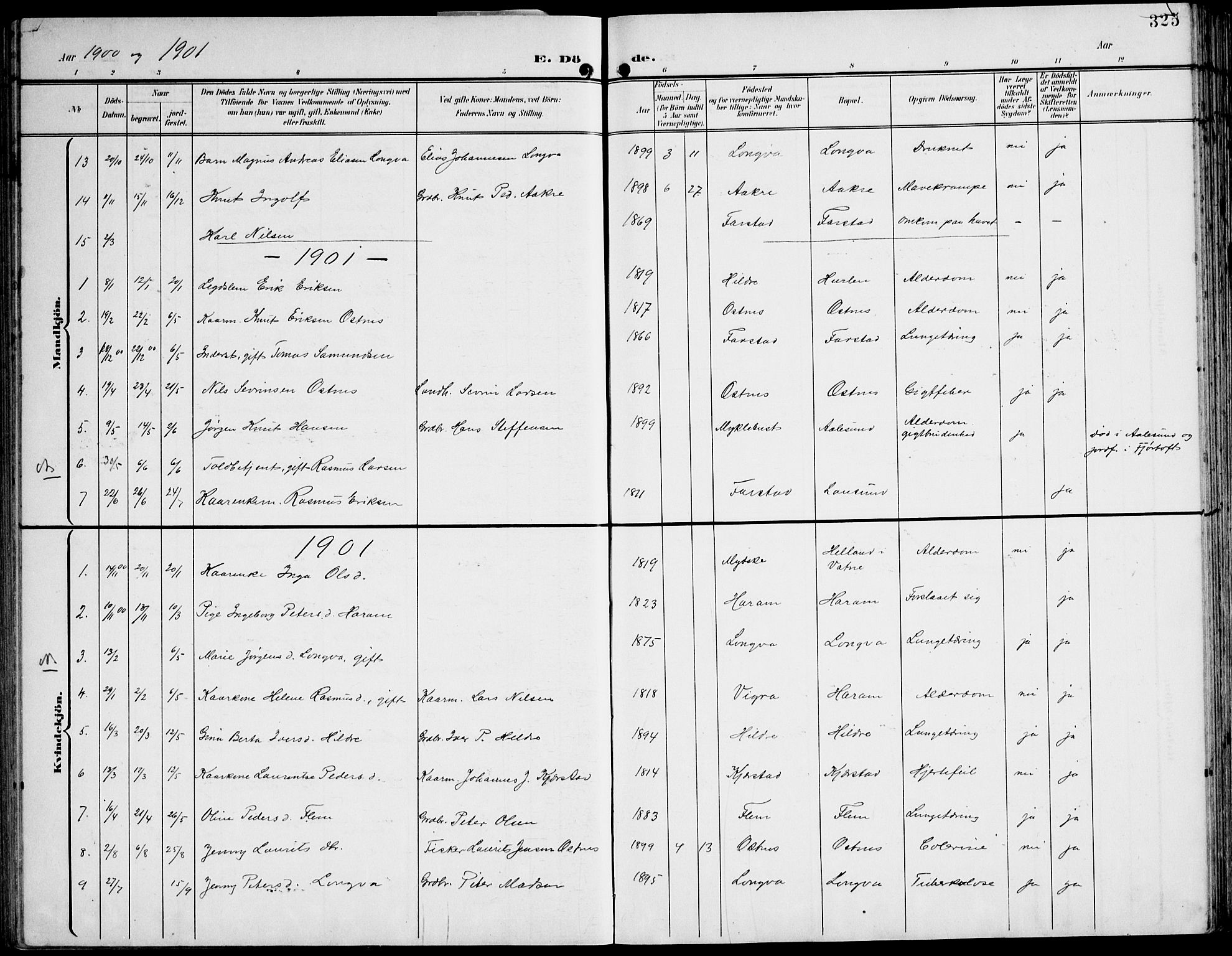 Ministerialprotokoller, klokkerbøker og fødselsregistre - Møre og Romsdal, AV/SAT-A-1454/536/L0511: Parish register (copy) no. 536C06, 1899-1944, p. 325